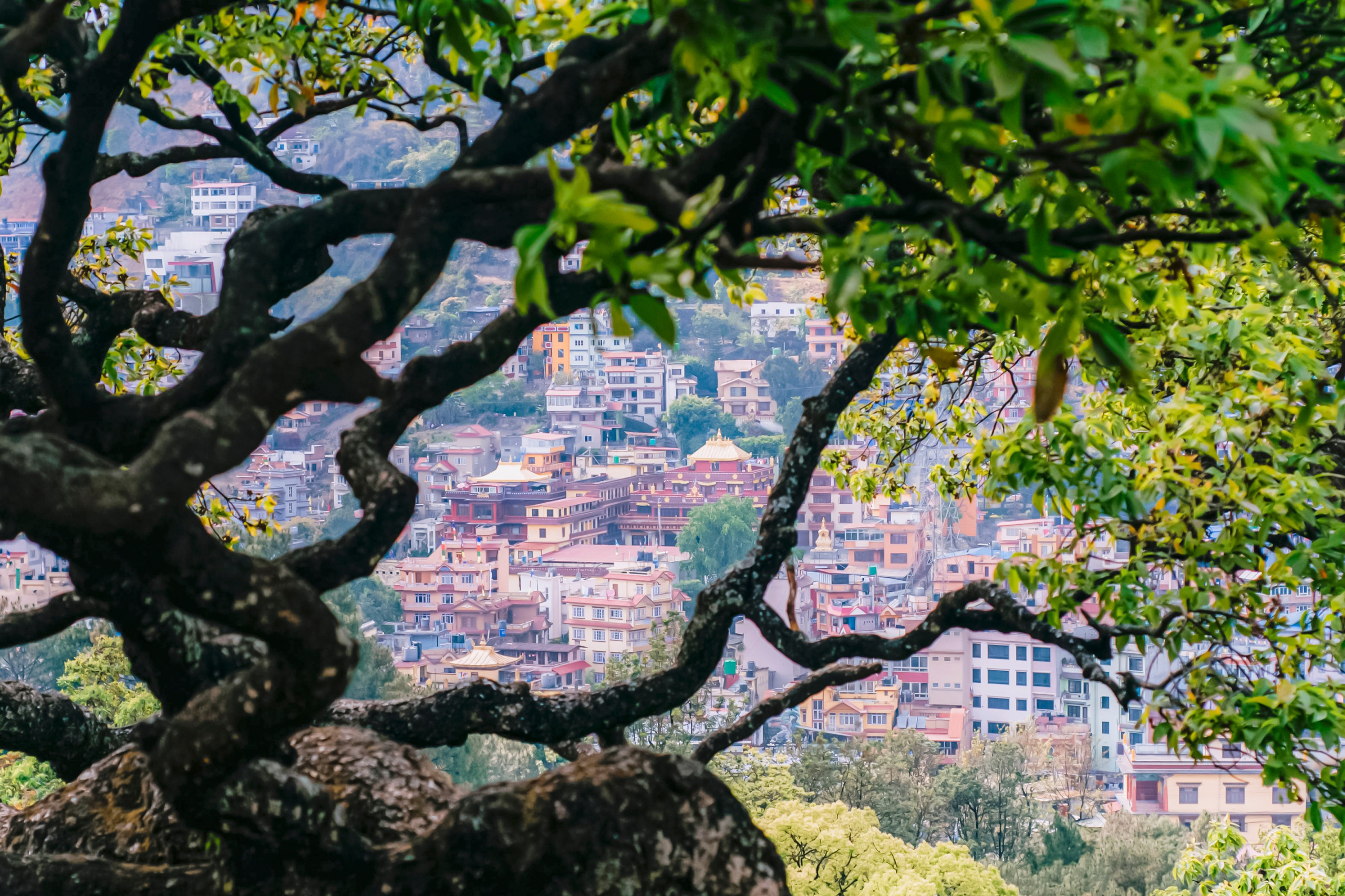 Катманду стрит фото. Iraogo