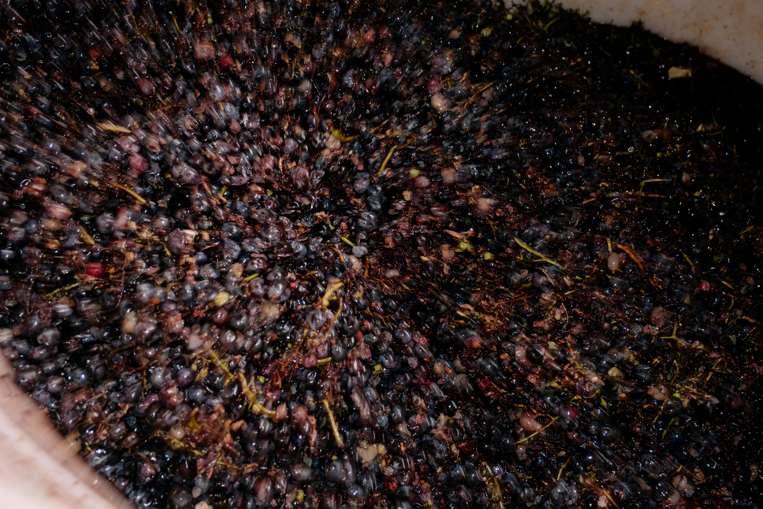 Абхазия. Iraogo