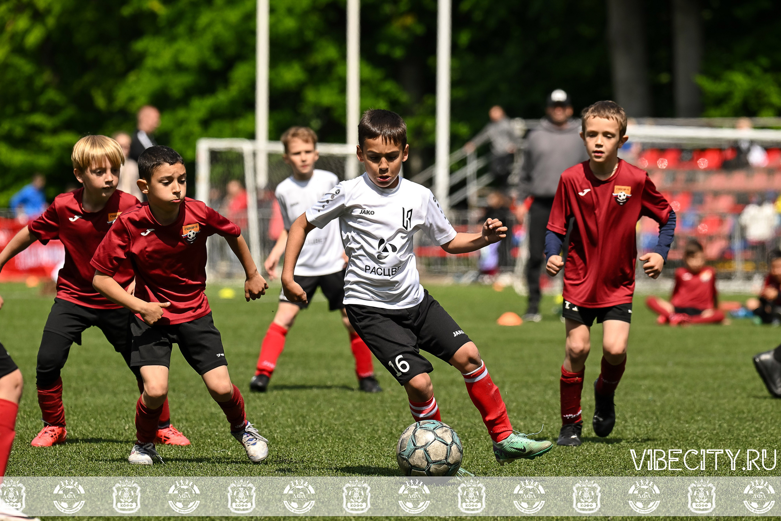 Большие Звезды светят Малым. VIBECITY.RU Вайб Сити Ру Фоторепортажи Фотоотчеты Калининград