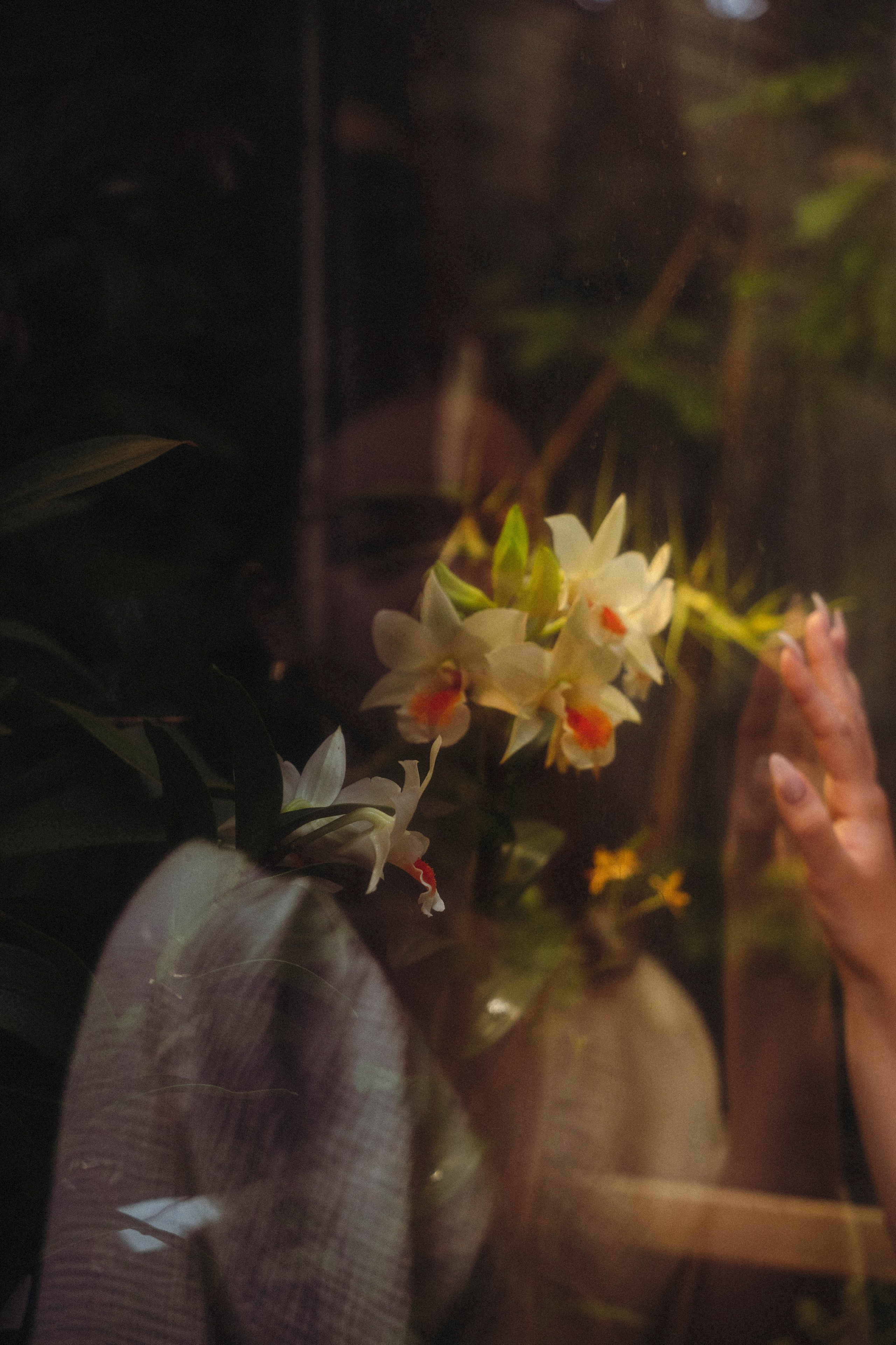 Аделина. Портретный и репортажный фотограф