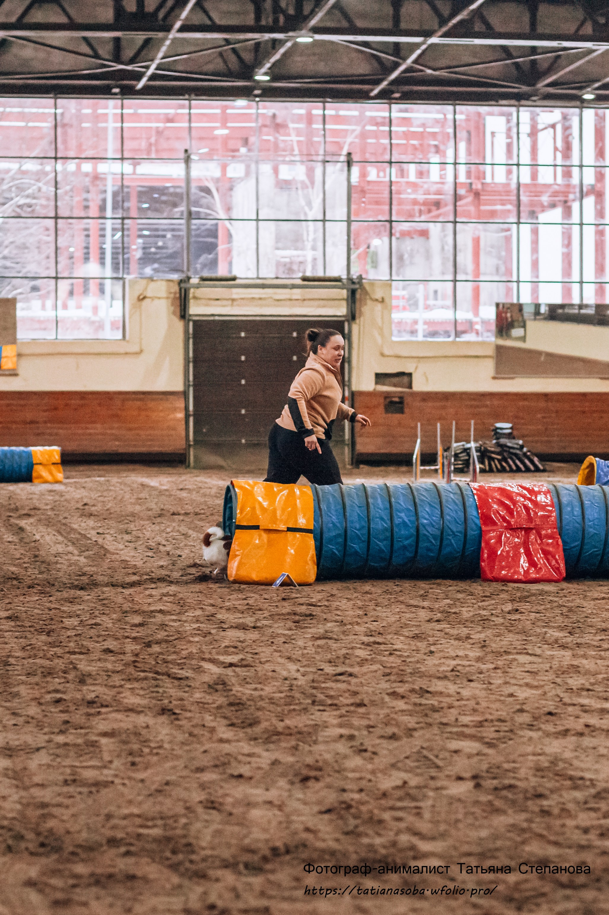 Соревнования по Аджилити 25.02.2024. Фотограф-анималист Татьяна Степанова