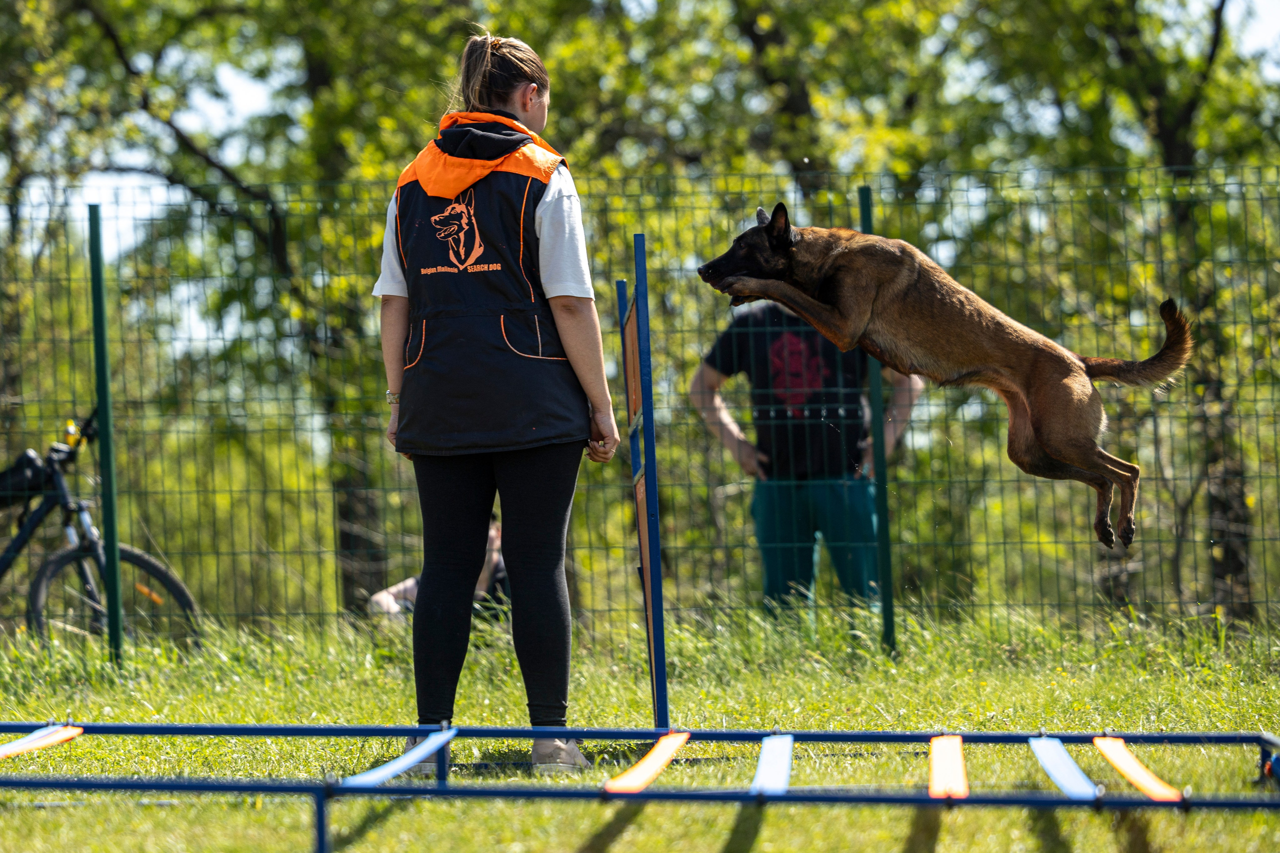 Испытания по мондьорингу в Нижнем Новгороде. Фотограф-анималист Анна Маринич