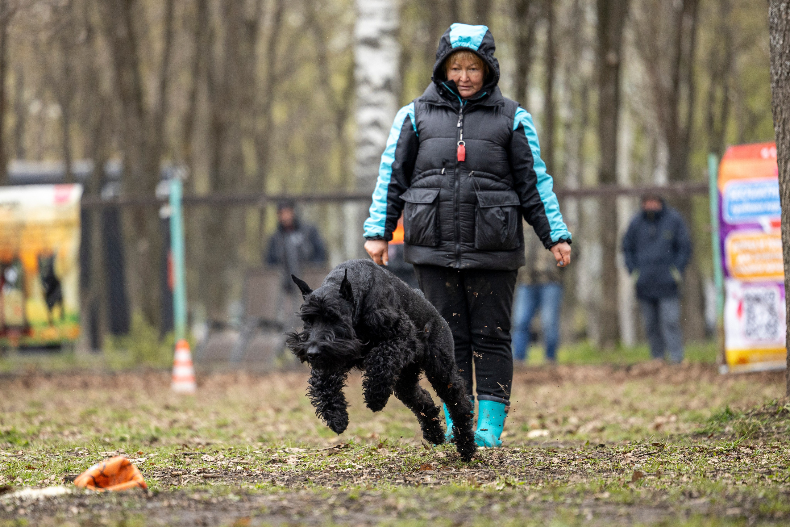 Квалификационные состязания по мондьорингу г. Вологда 11.05.24. Фотограф-анималист Анна Маринич
