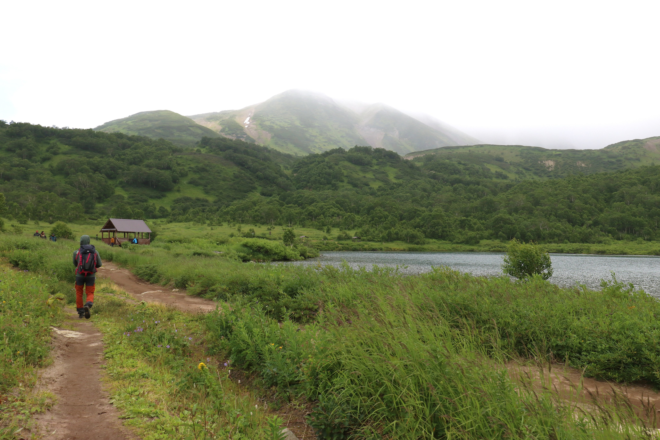 Камчатка и о. Парамушир. Июль 2024. Путешественник-фотограф из Санкт-Петербурга Татьяна Свистулина