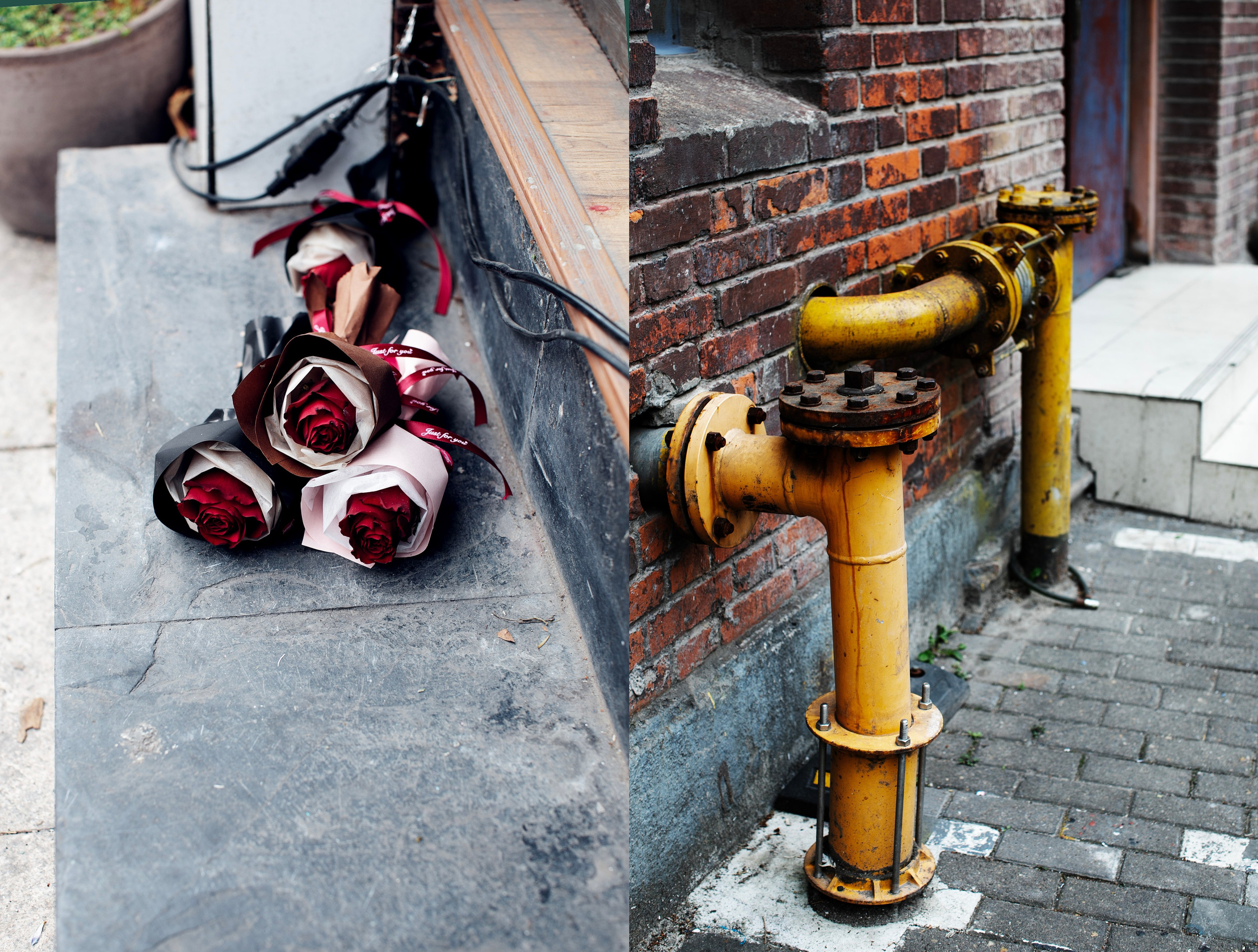 Китай'25: Пекин-Сиань-Шанхай. Фотограф-портретист в Москве