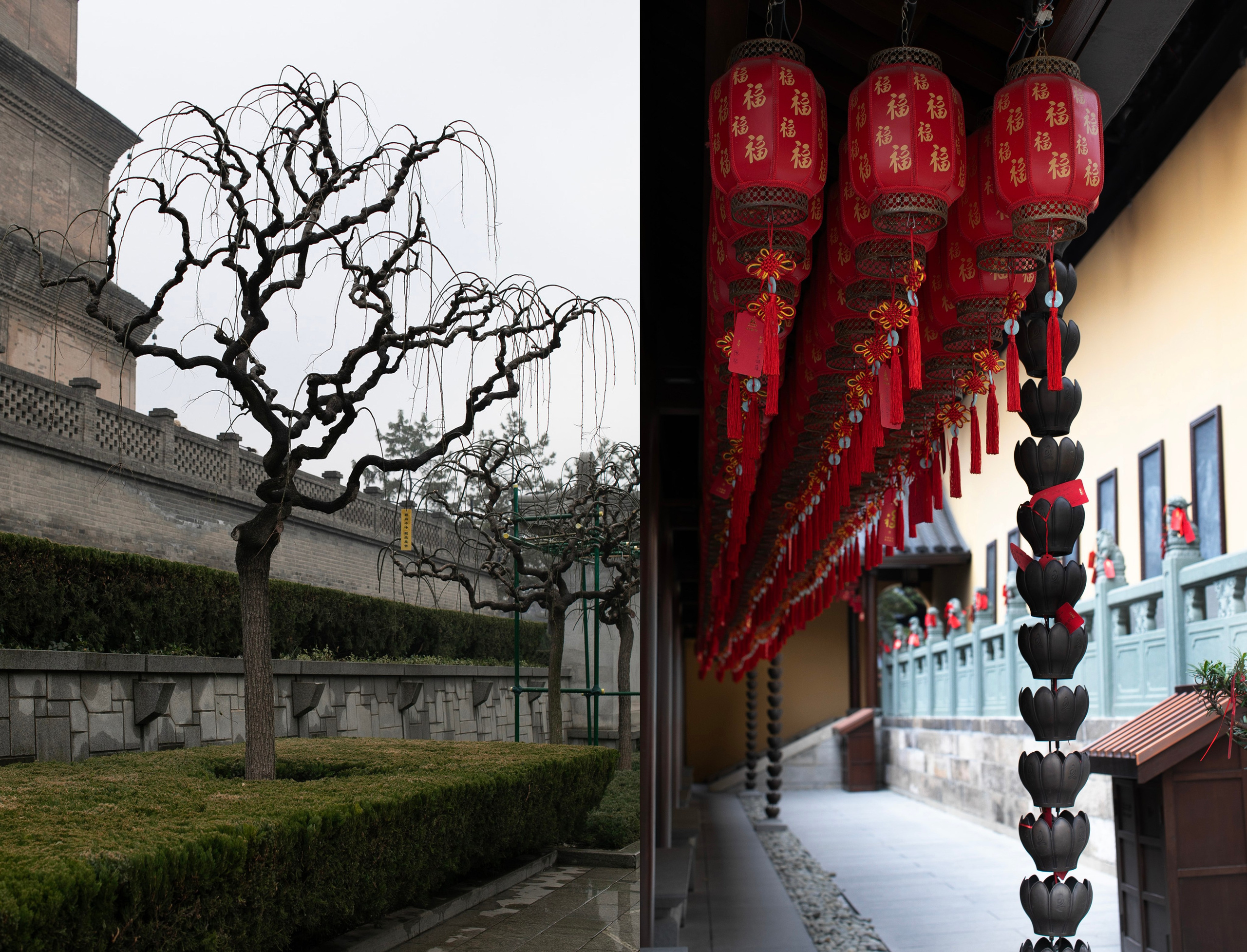 Китай'25: Пекин-Сиань-Шанхай. Фотограф-портретист в Москве