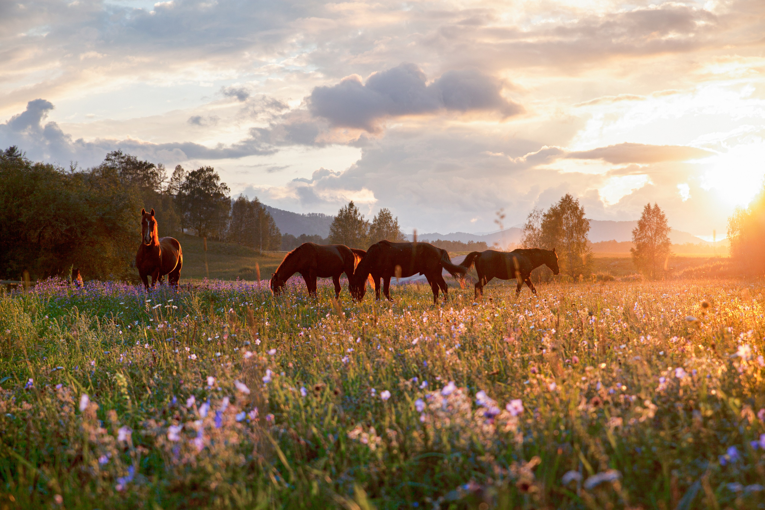 Фотокниги. Холсты. Печать
