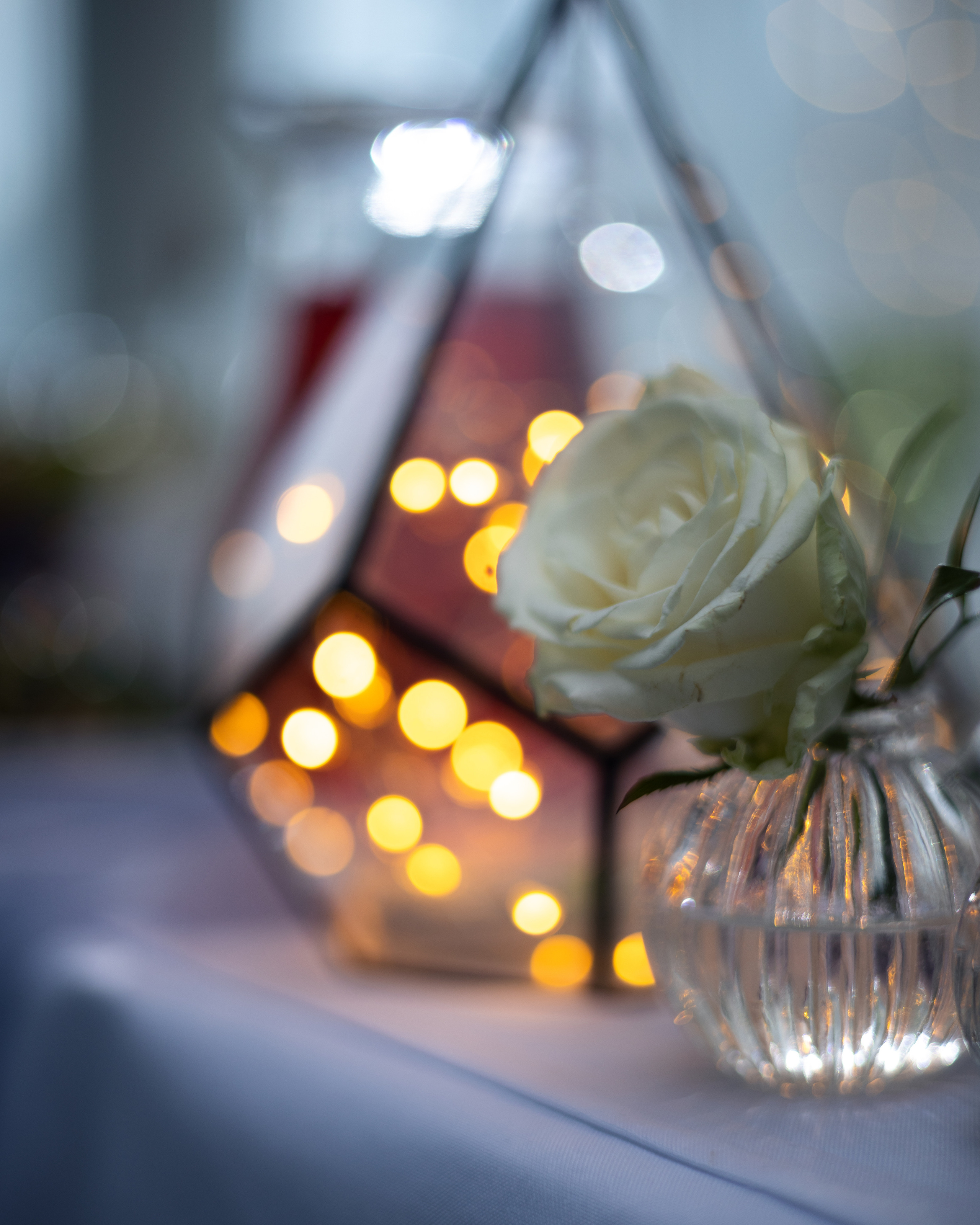 Римма и Ваня. Анна Самохина. Фотограф. Москва