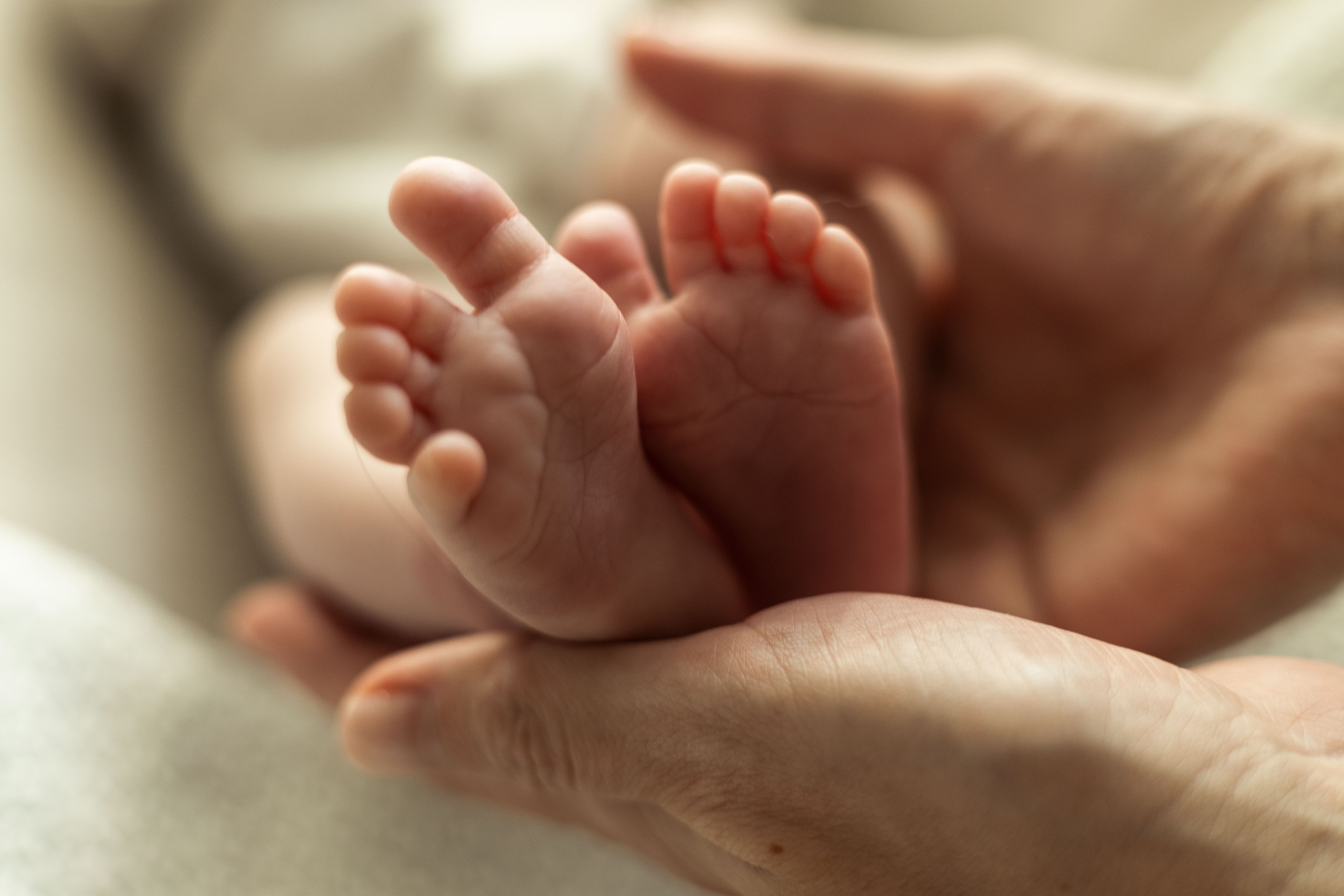 Сашенька. Анна Самохина. Фотограф. Москва