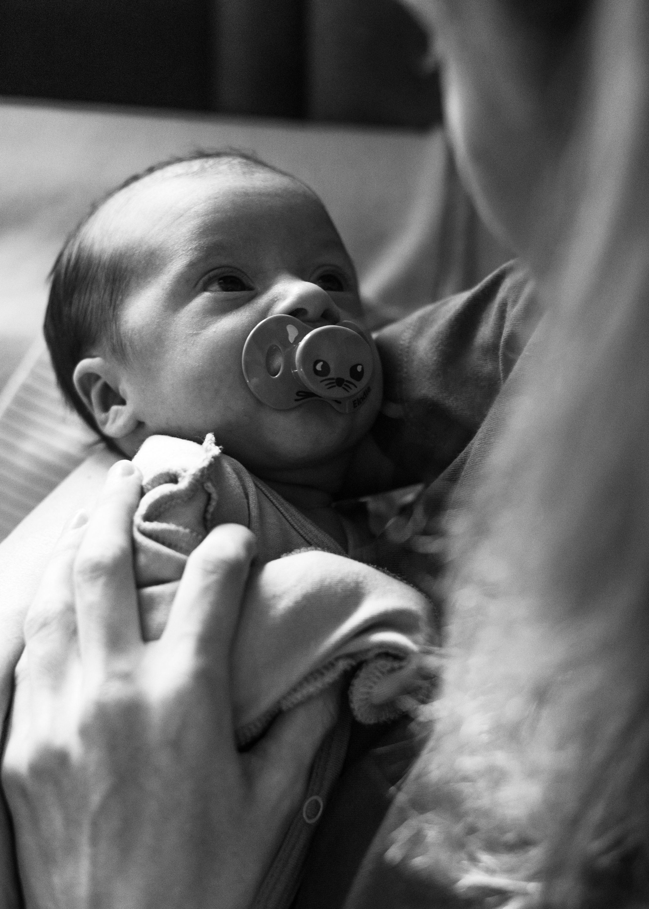 Тимоша. Анна Самохина. Фотограф. Москва