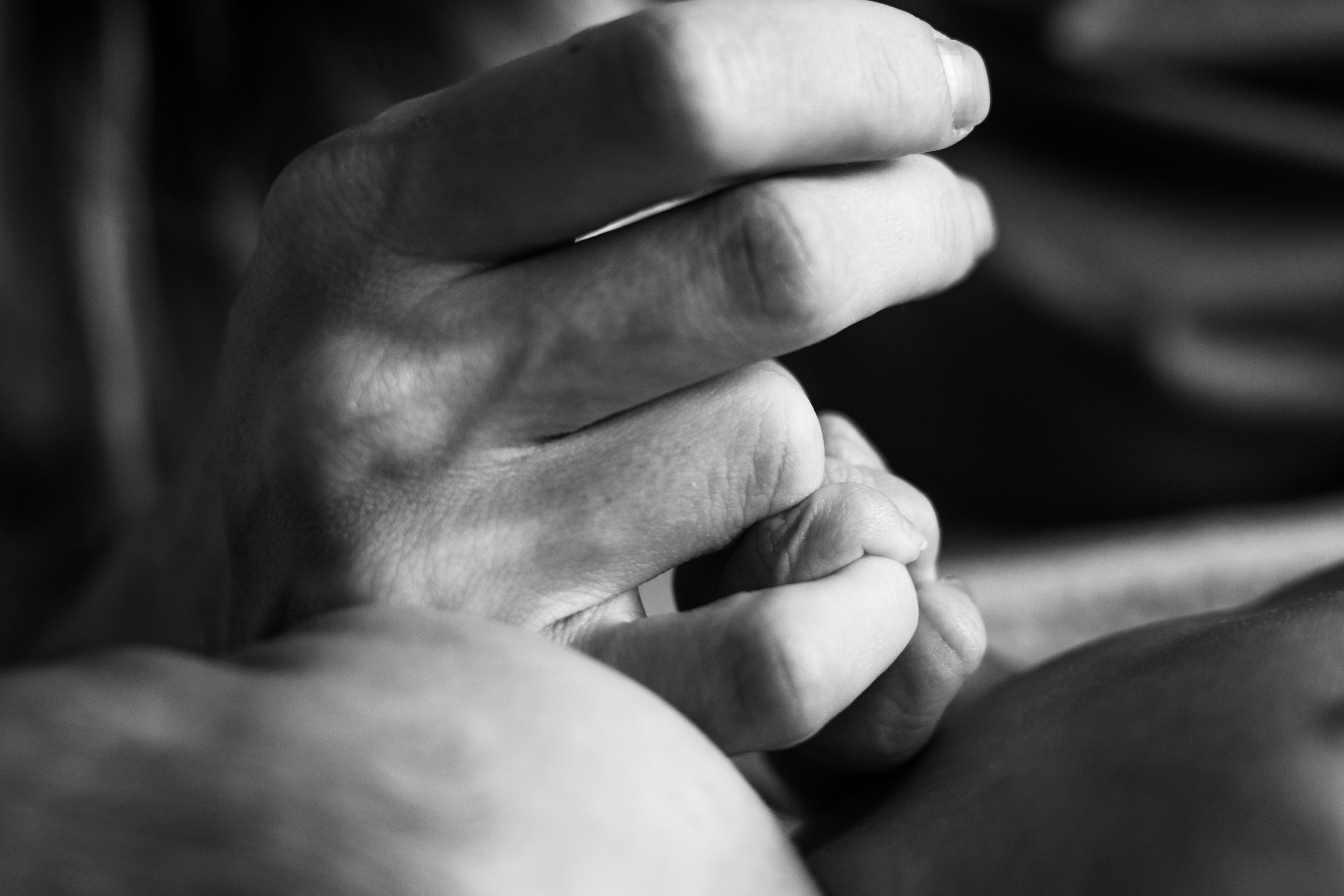 Тимоша. Анна Самохина. Фотограф. Москва