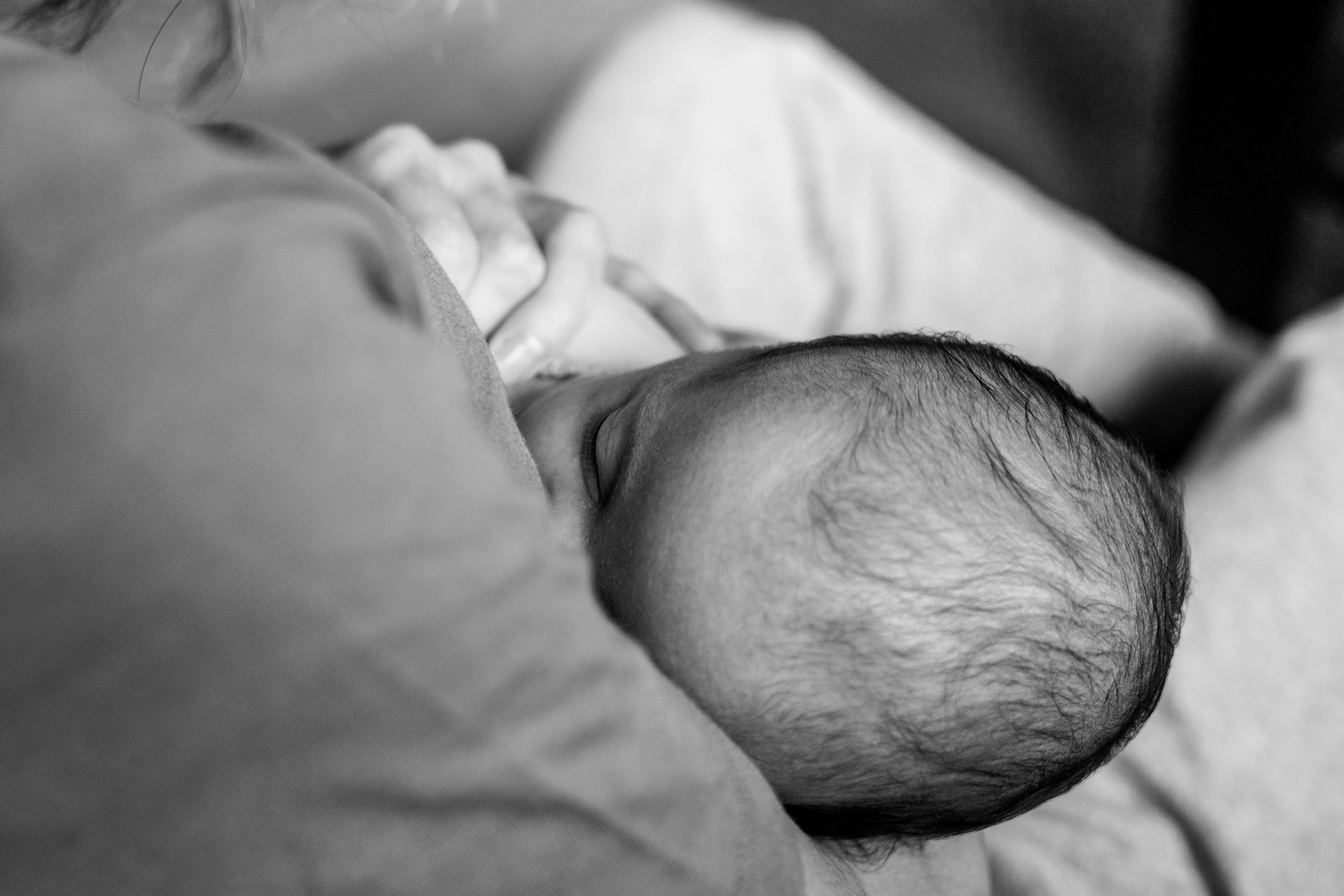 Тимоша. Анна Самохина. Фотограф. Москва