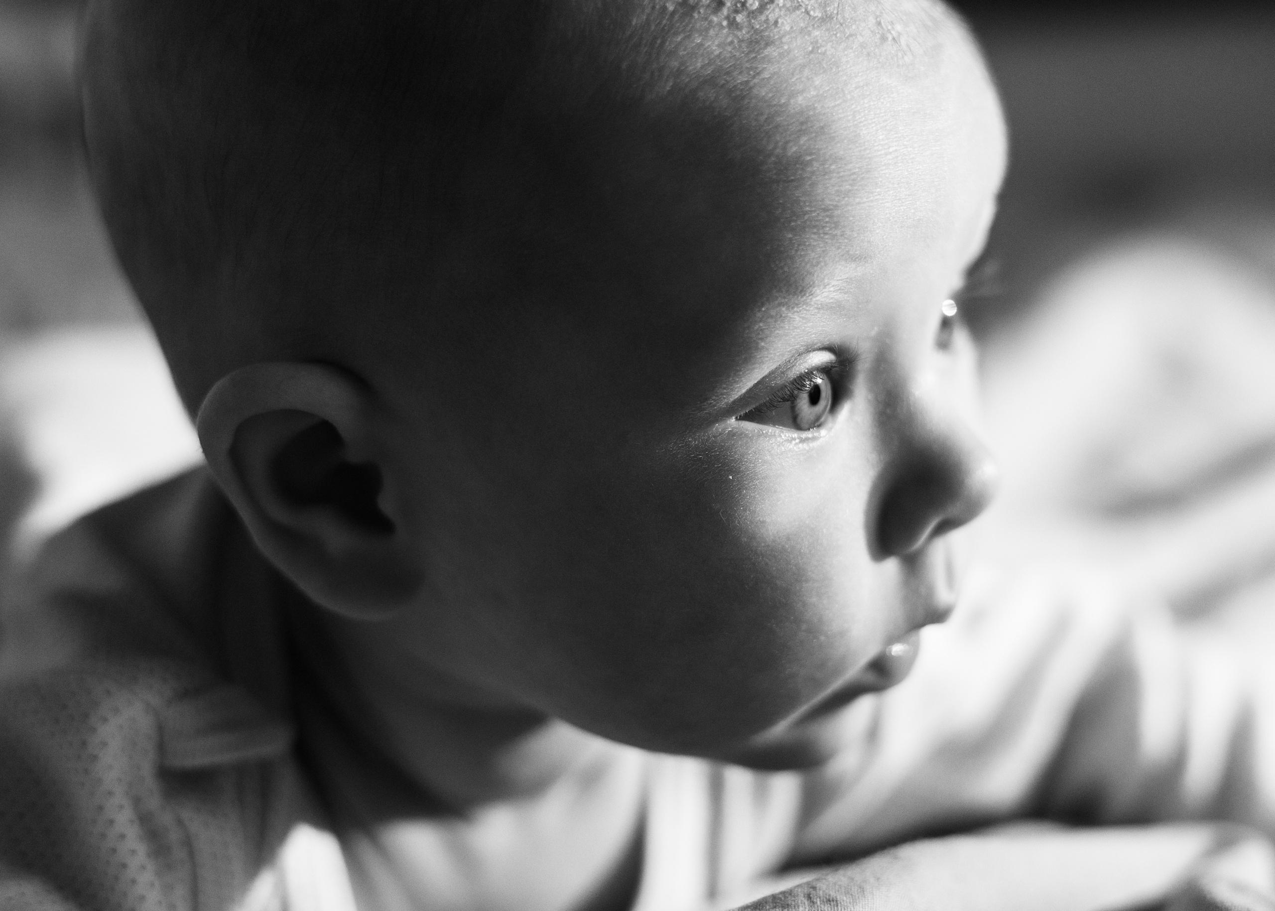 Василиса. Анна Самохина. Фотограф. Москва