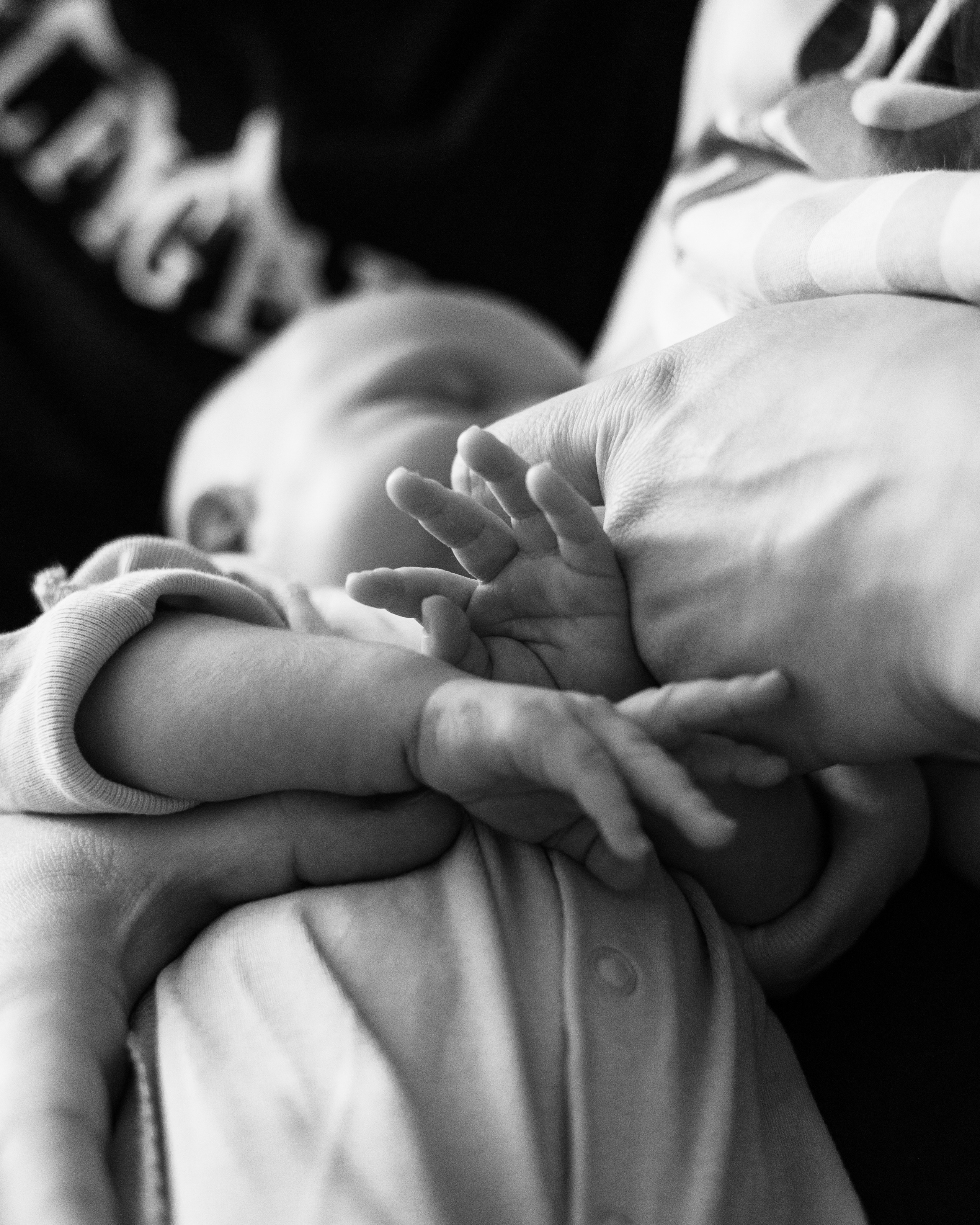 Филя. Анна Самохина. Фотограф. Москва