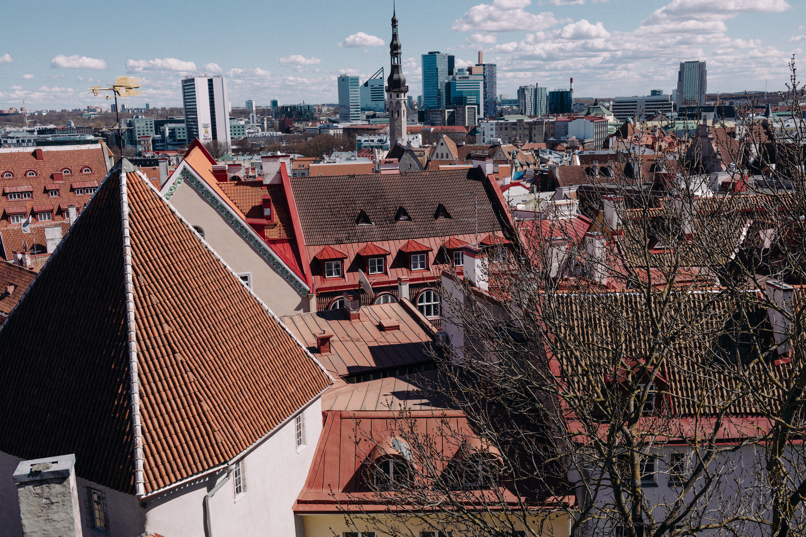 Прогулка. Книжный магазин. Кофейня. Анна Самохина. Фотограф. Москва