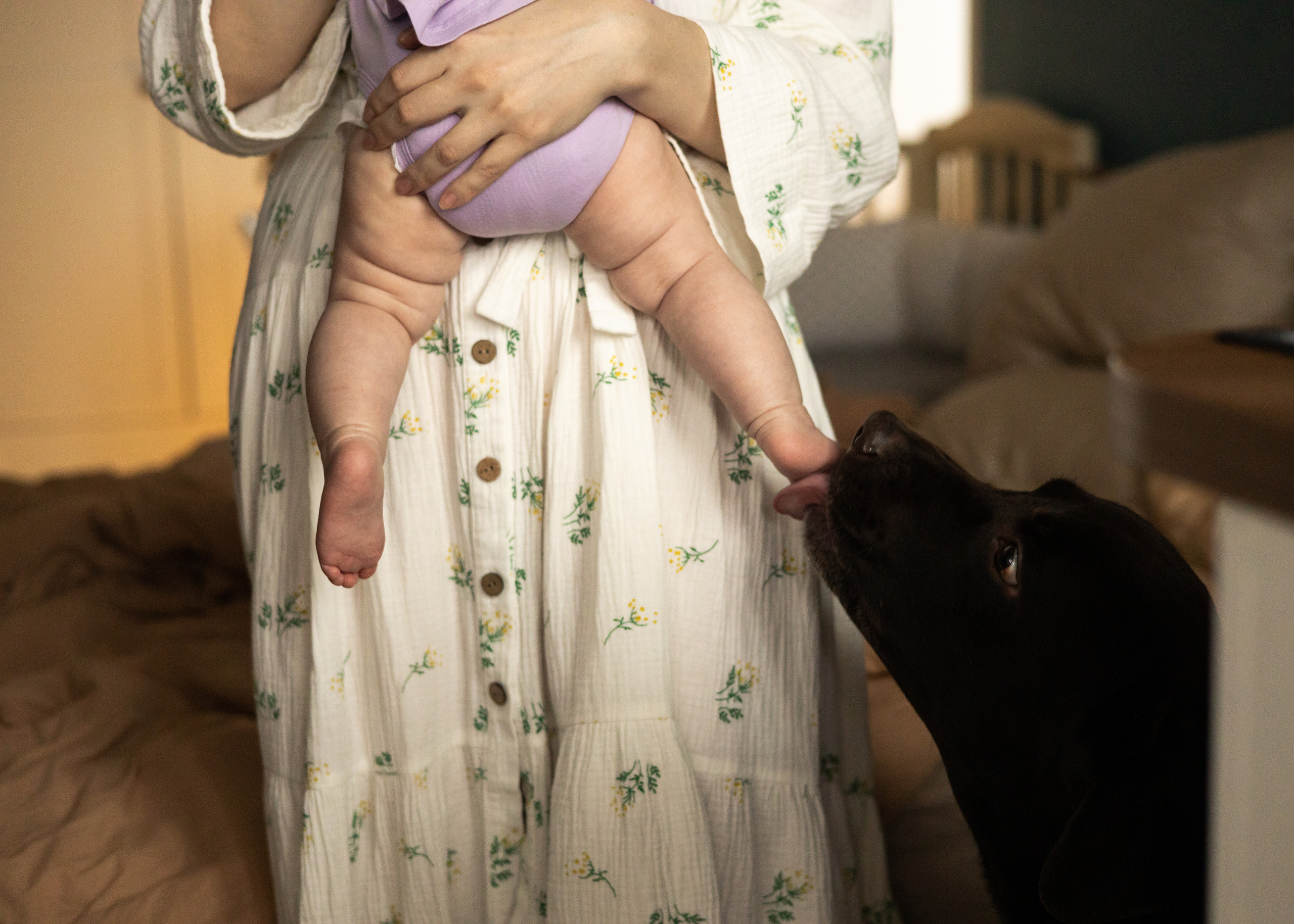 Василиса. Анна Самохина. Фотограф. Москва