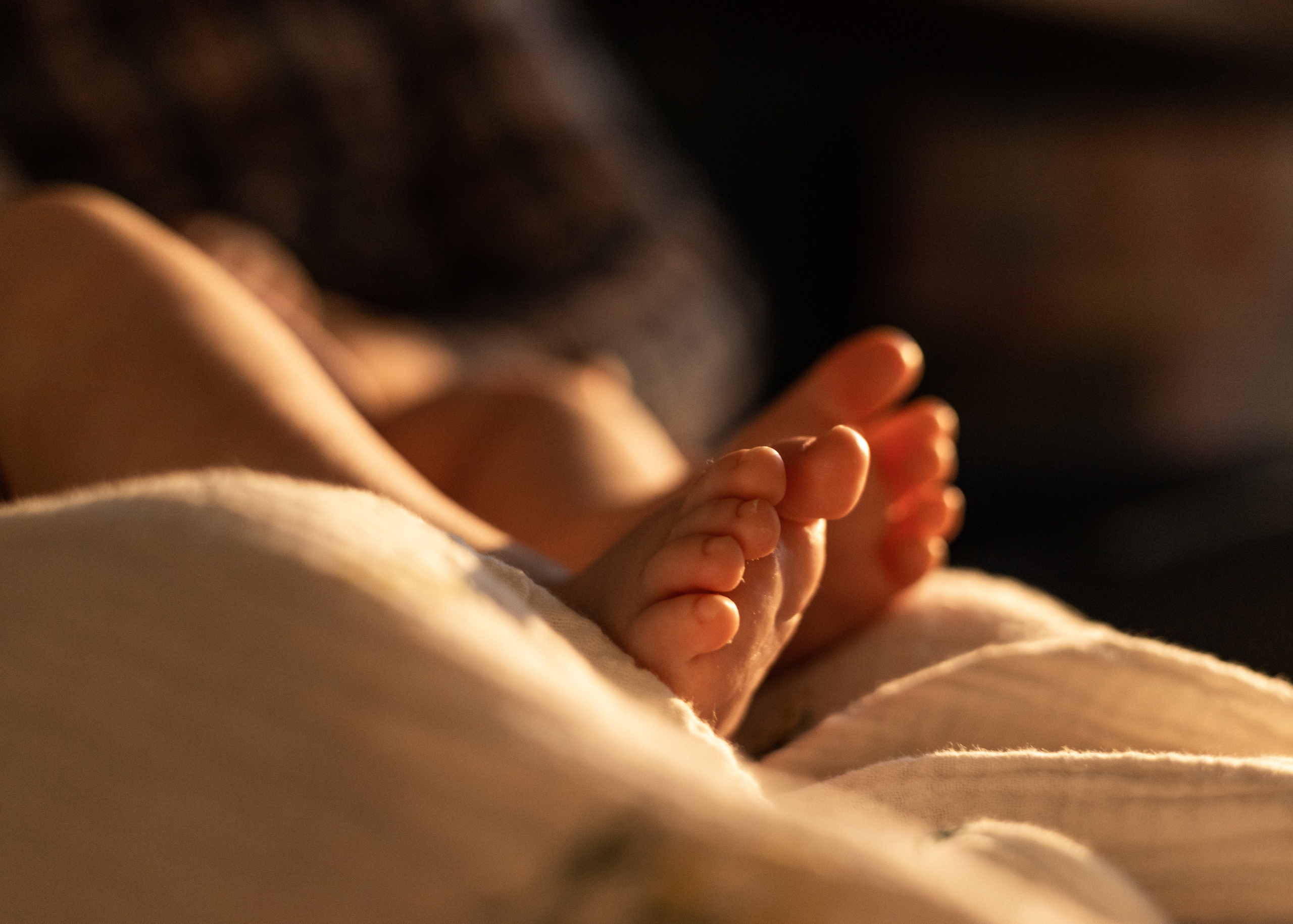 Василиса. Анна Самохина. Фотограф. Москва