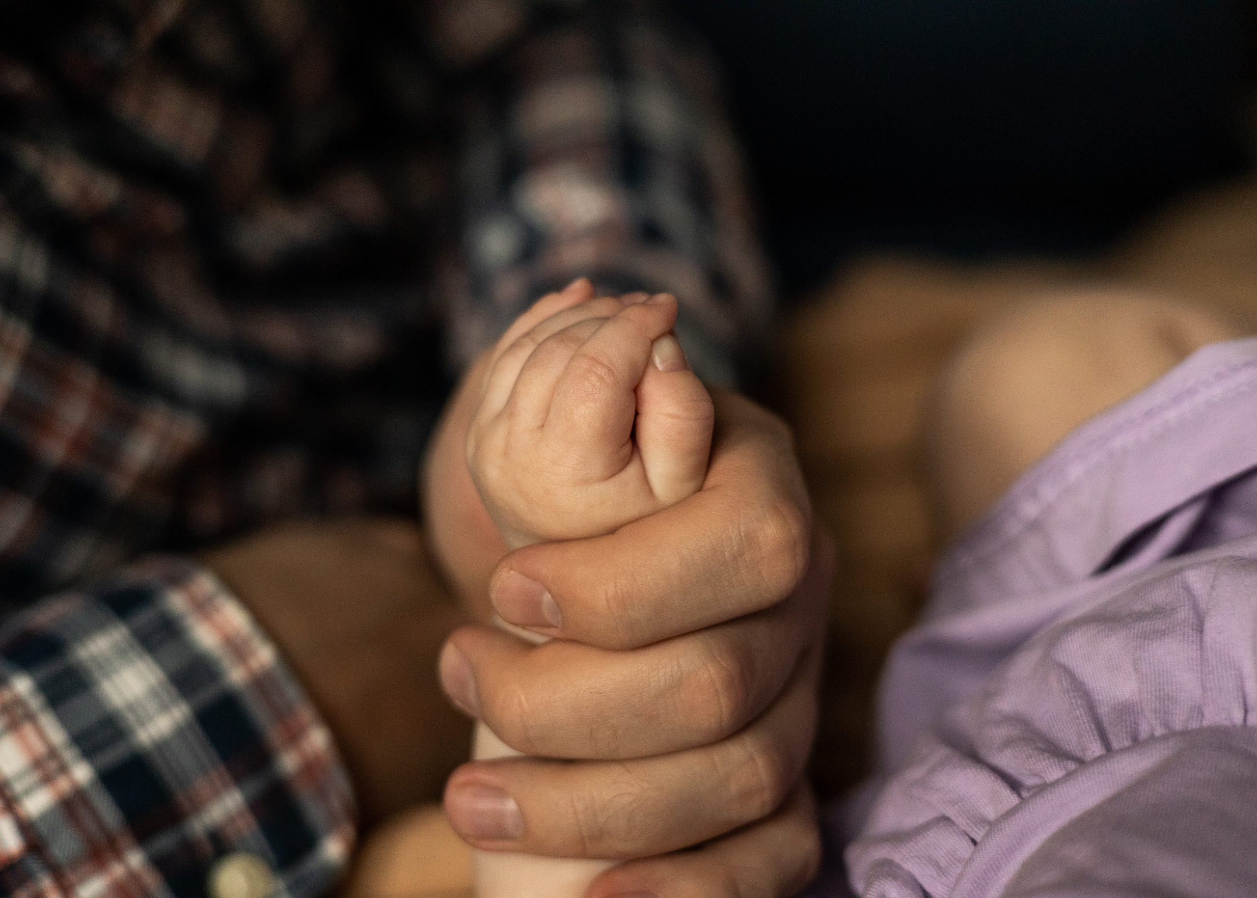 Василиса. Анна Самохина. Фотограф. Москва