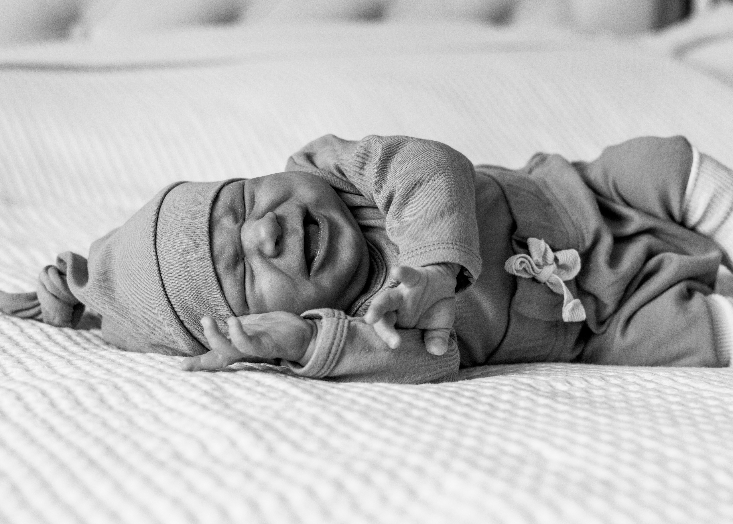 Филя. Анна Самохина. Фотограф. Москва