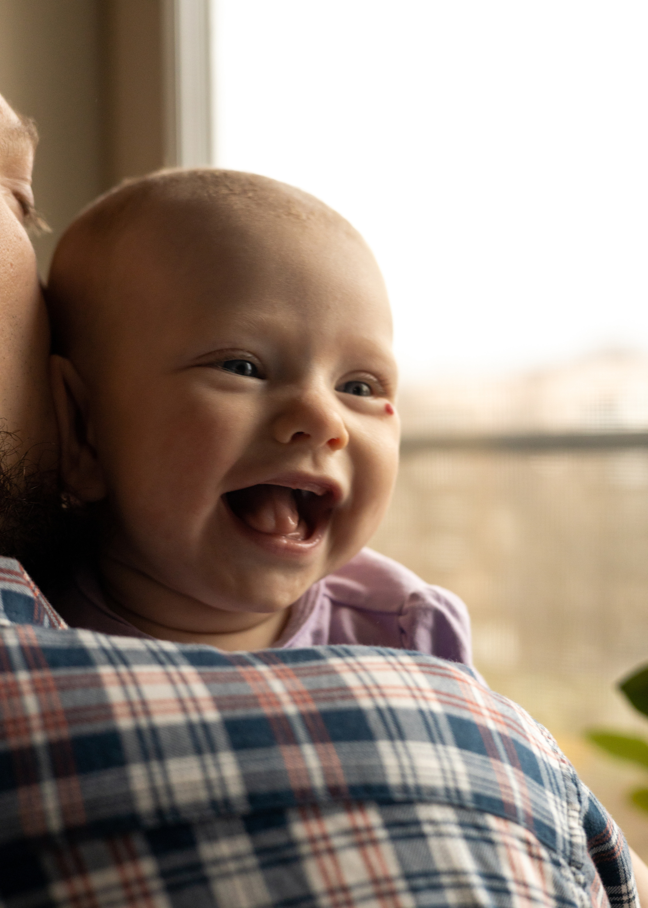 Василиса. Анна Самохина. Фотограф. Москва