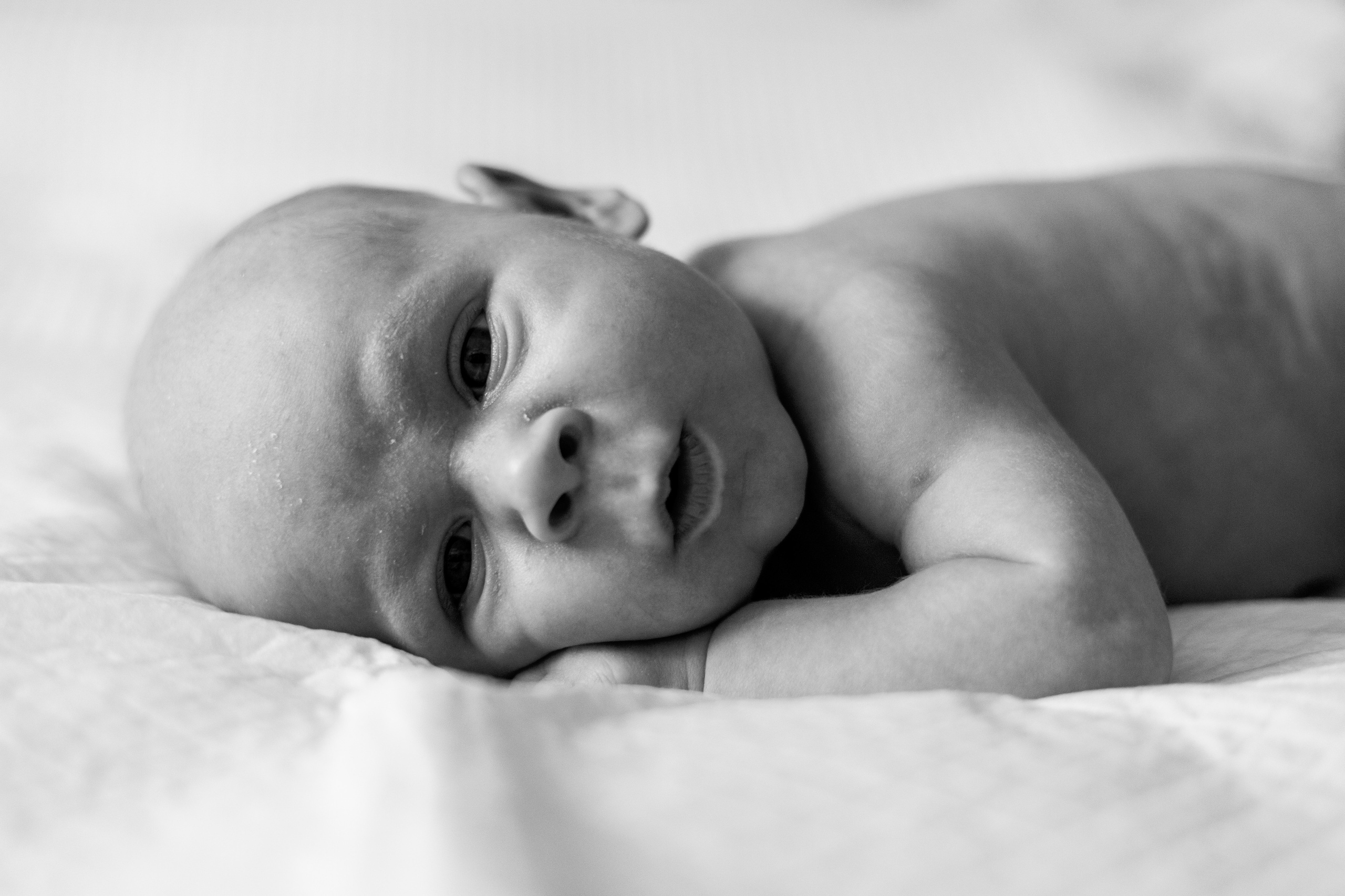 Филя. Анна Самохина. Фотограф. Москва