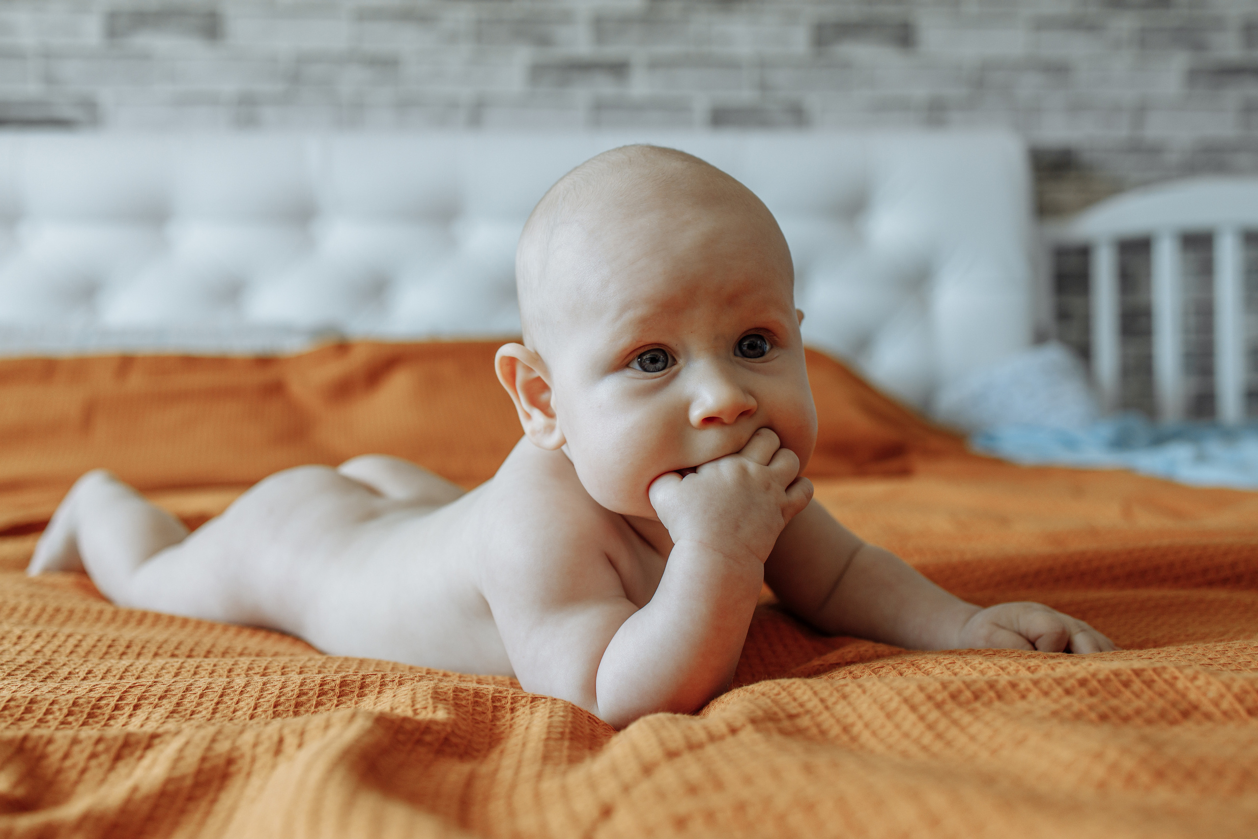 Филя. Анна Самохина. Фотограф. Москва