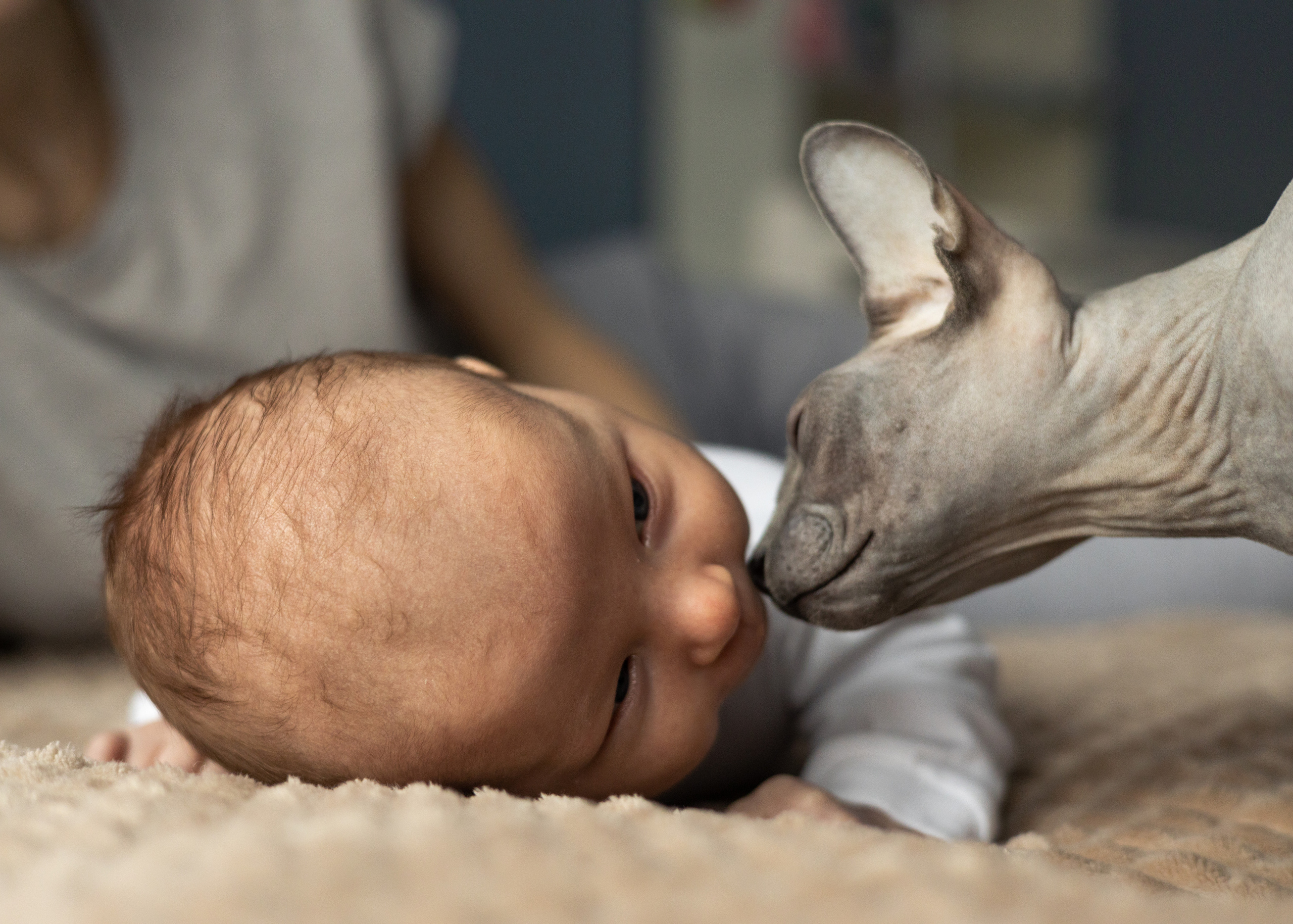 Сеня. Анна Самохина. Фотограф. Москва