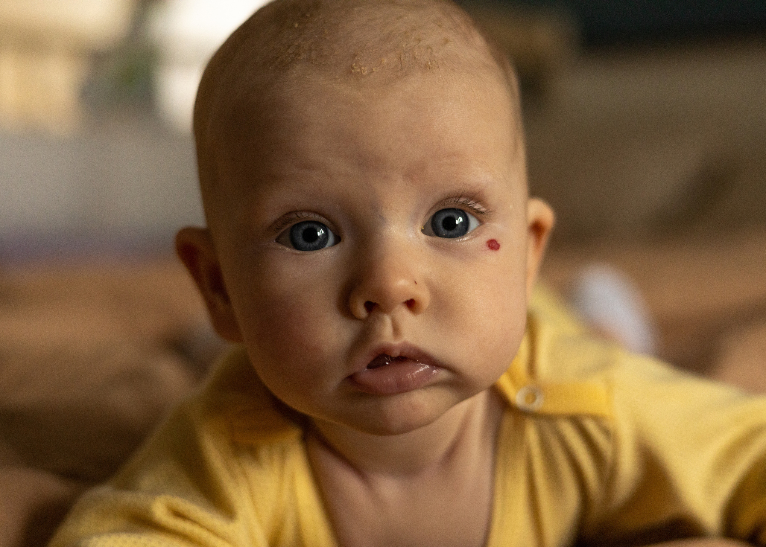 Василиса. Анна Самохина. Фотограф. Москва