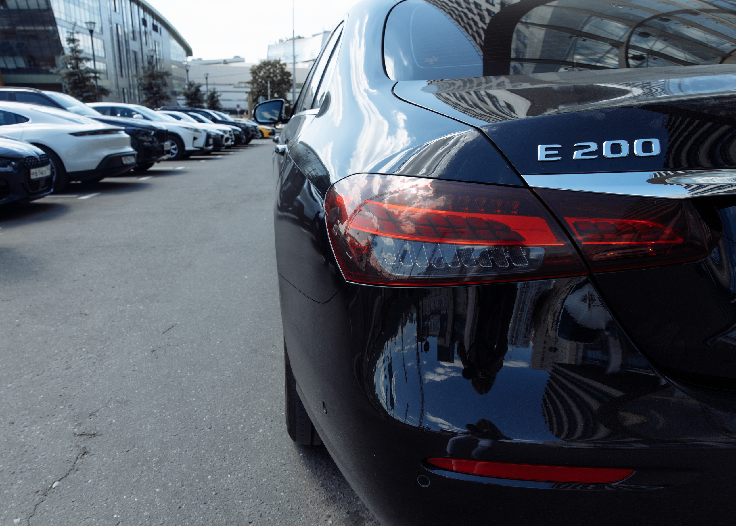 Ксения и Саша. Анна Самохина. Фотограф. Москва