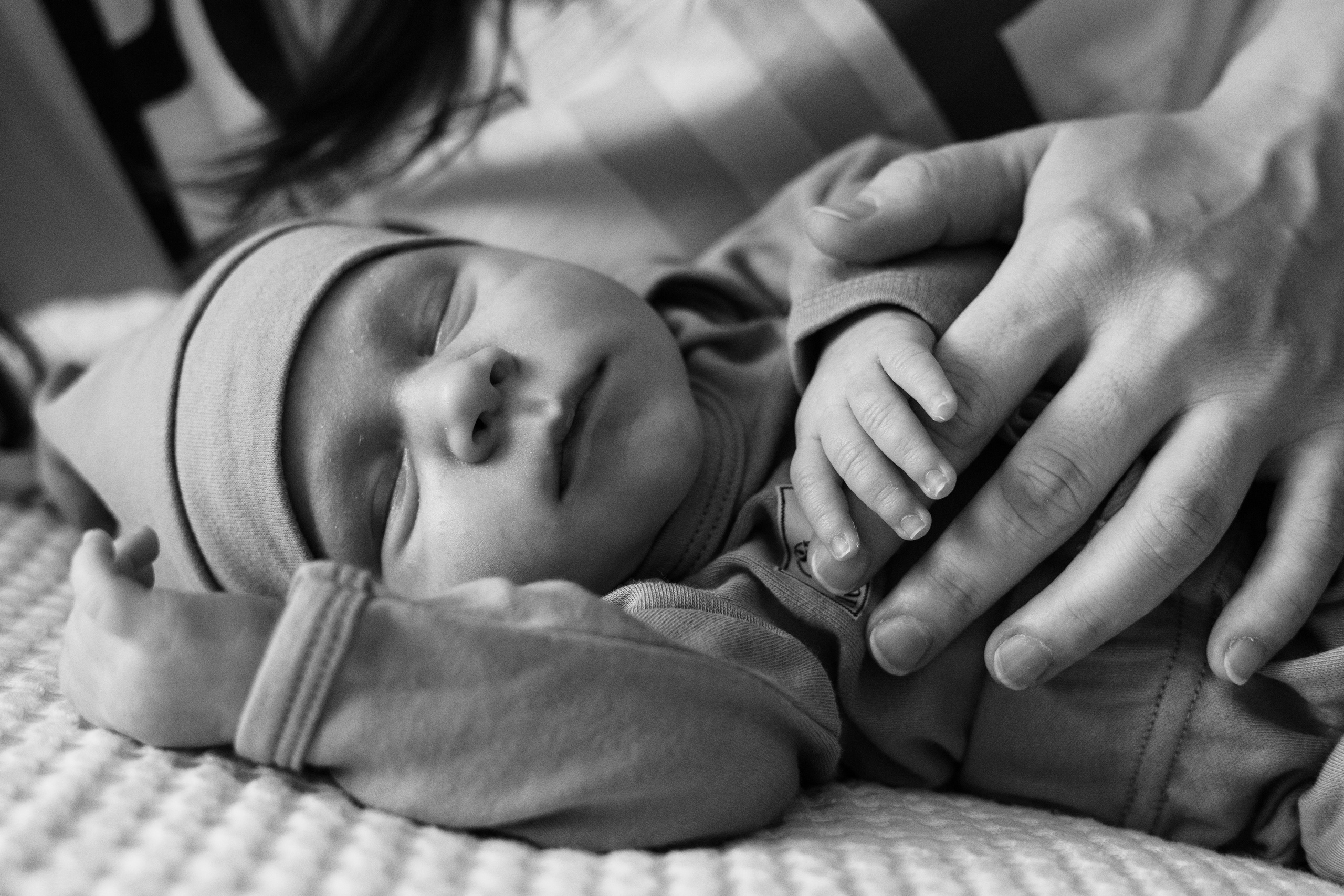 Филя. Анна Самохина. Фотограф. Москва