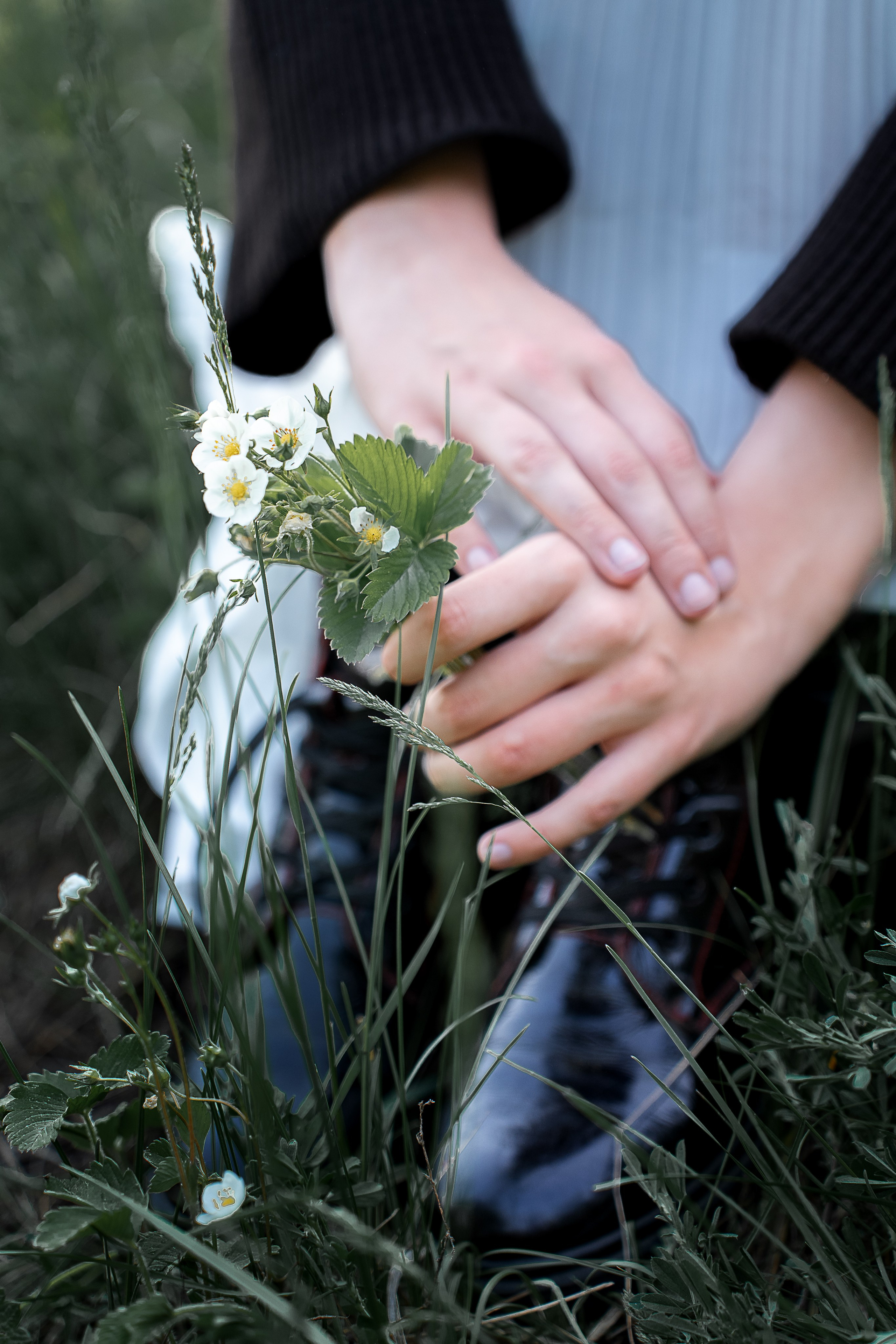 Алиса лето. Главная