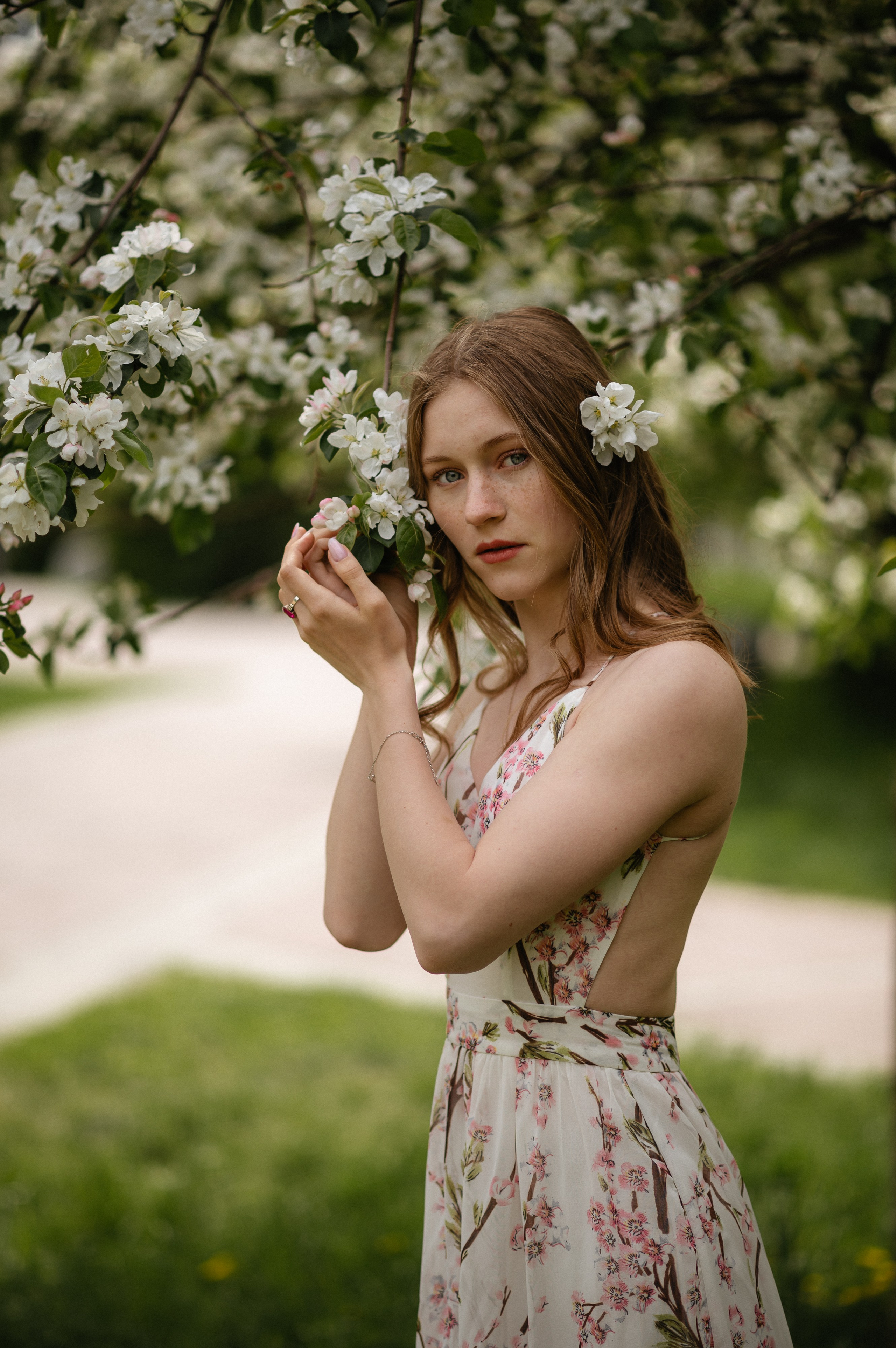 Ксюша, цветение. Главная