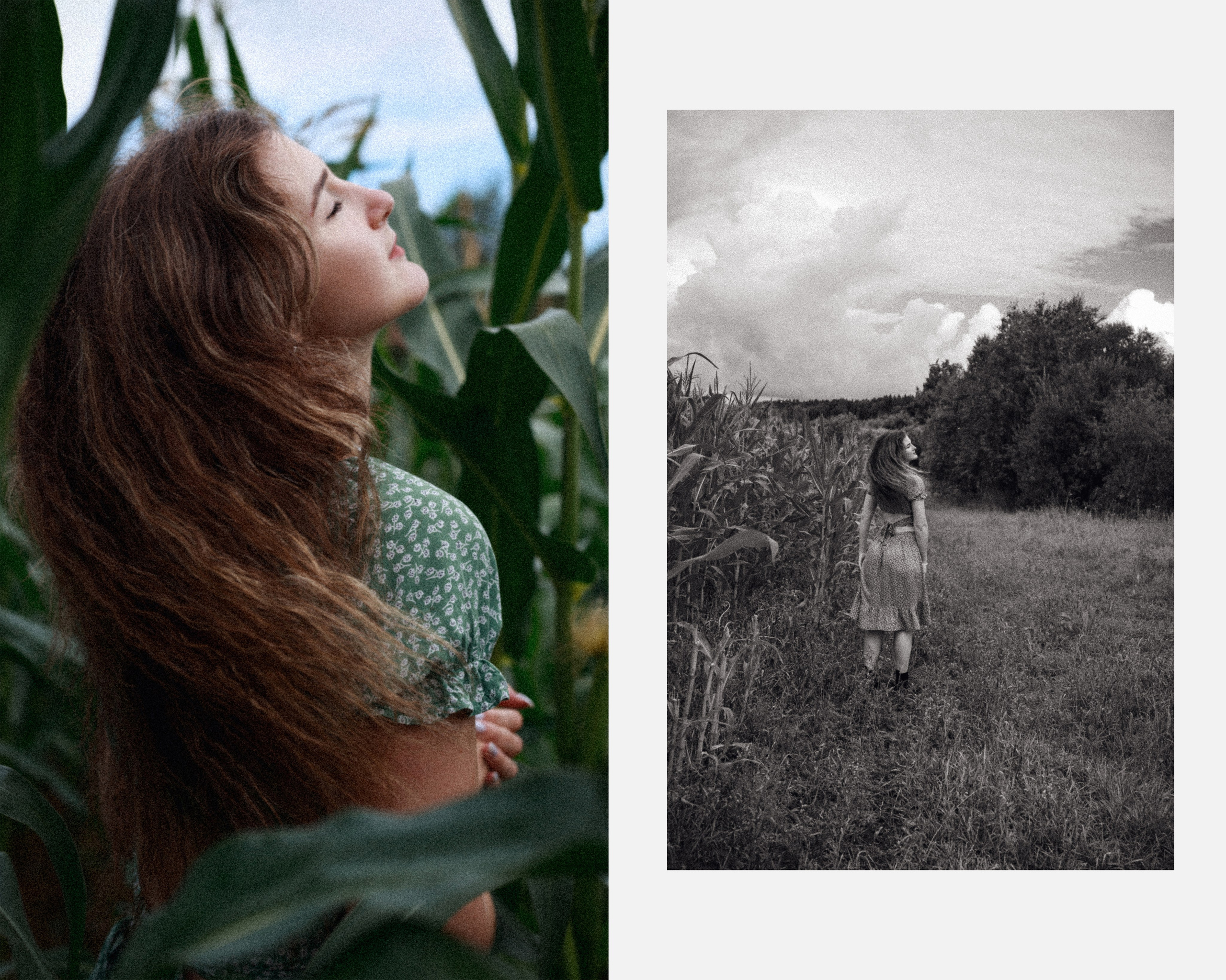 Фотосессия в кукурузных полях. Фотограф Санкт-Петербург Конюхова Мария