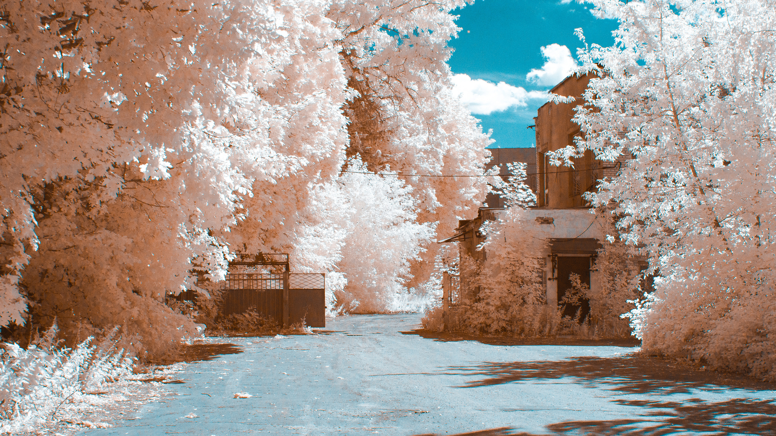 Color — Цветная