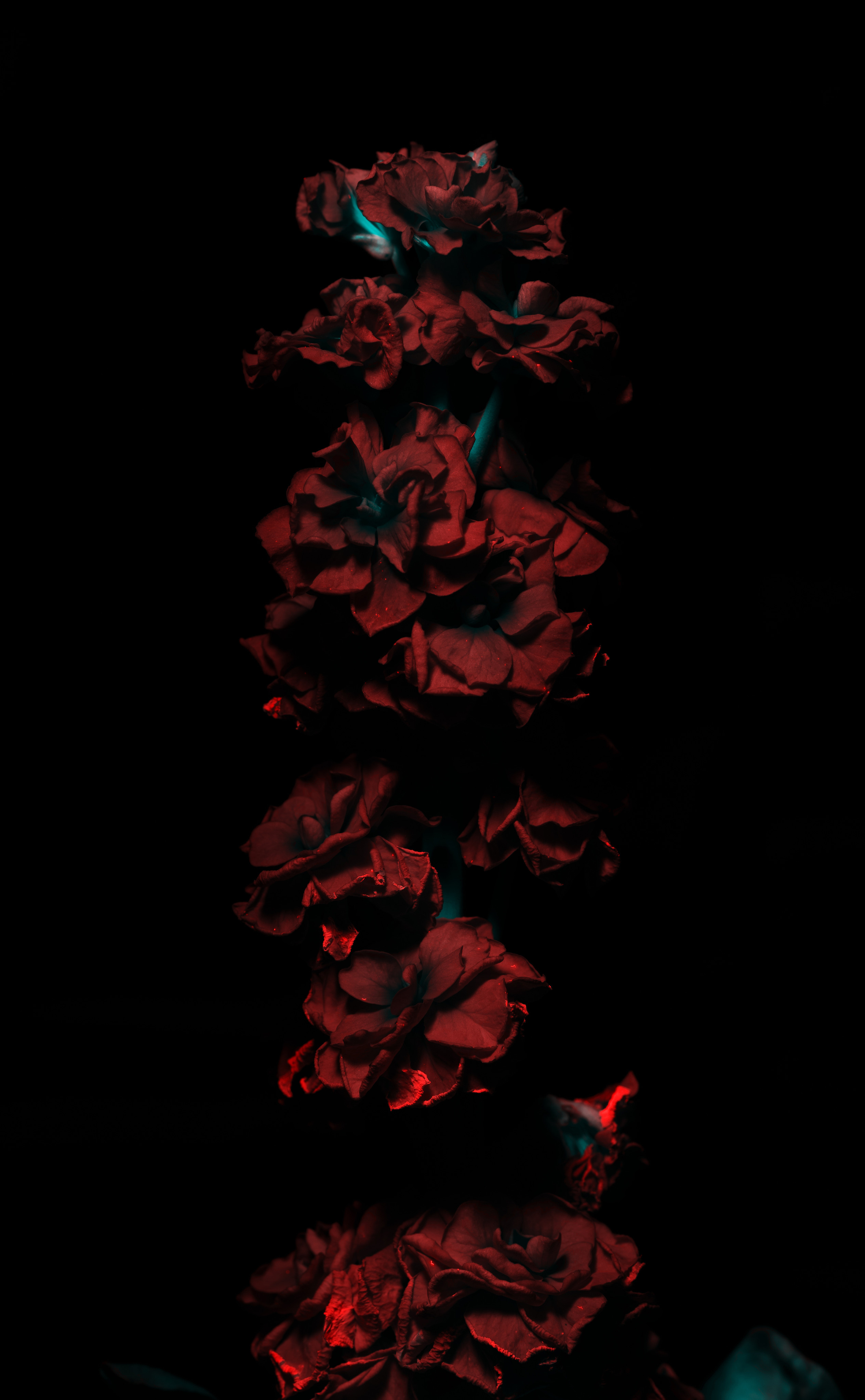 Macro — Макро