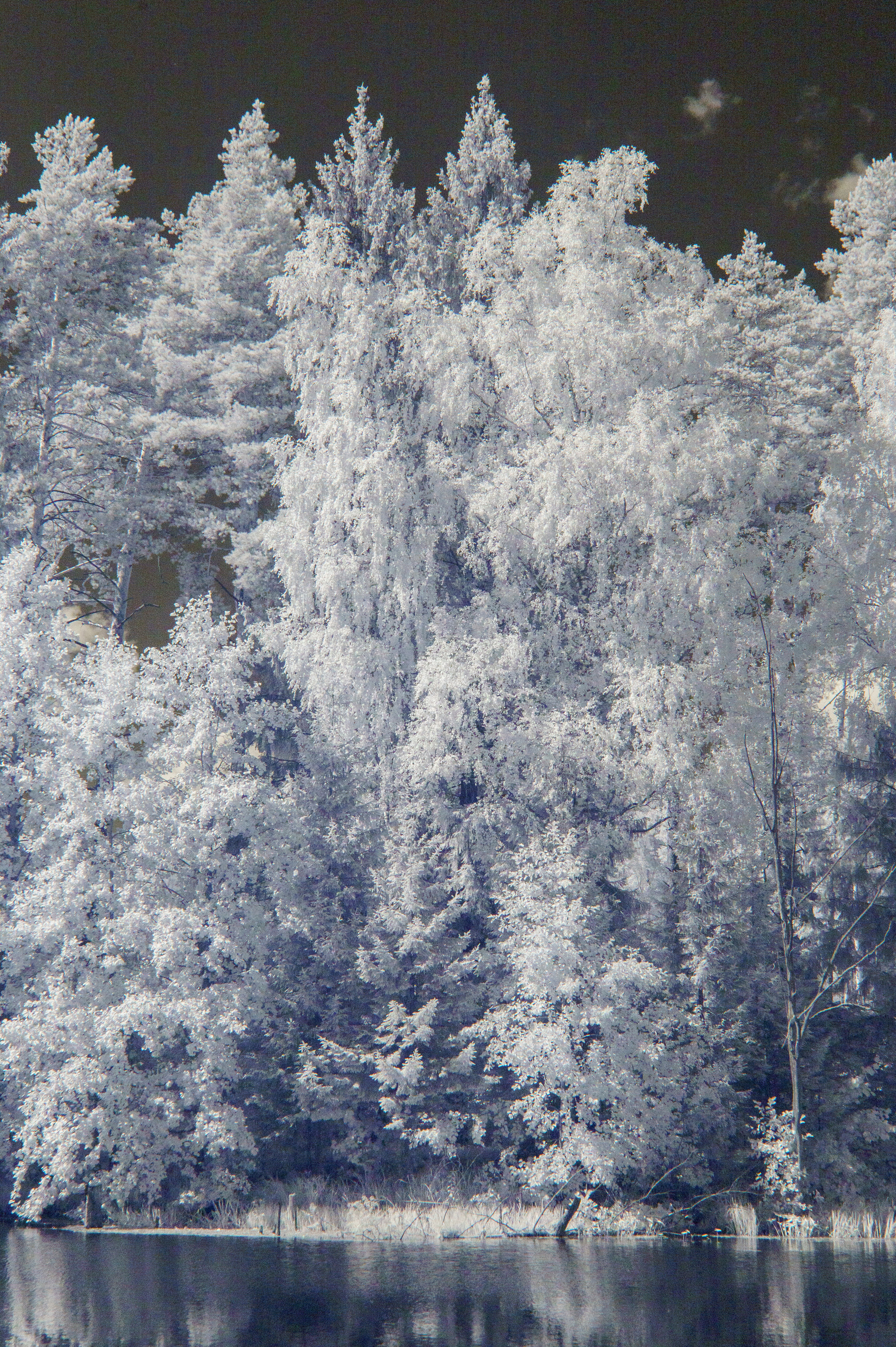 Color — Цветная