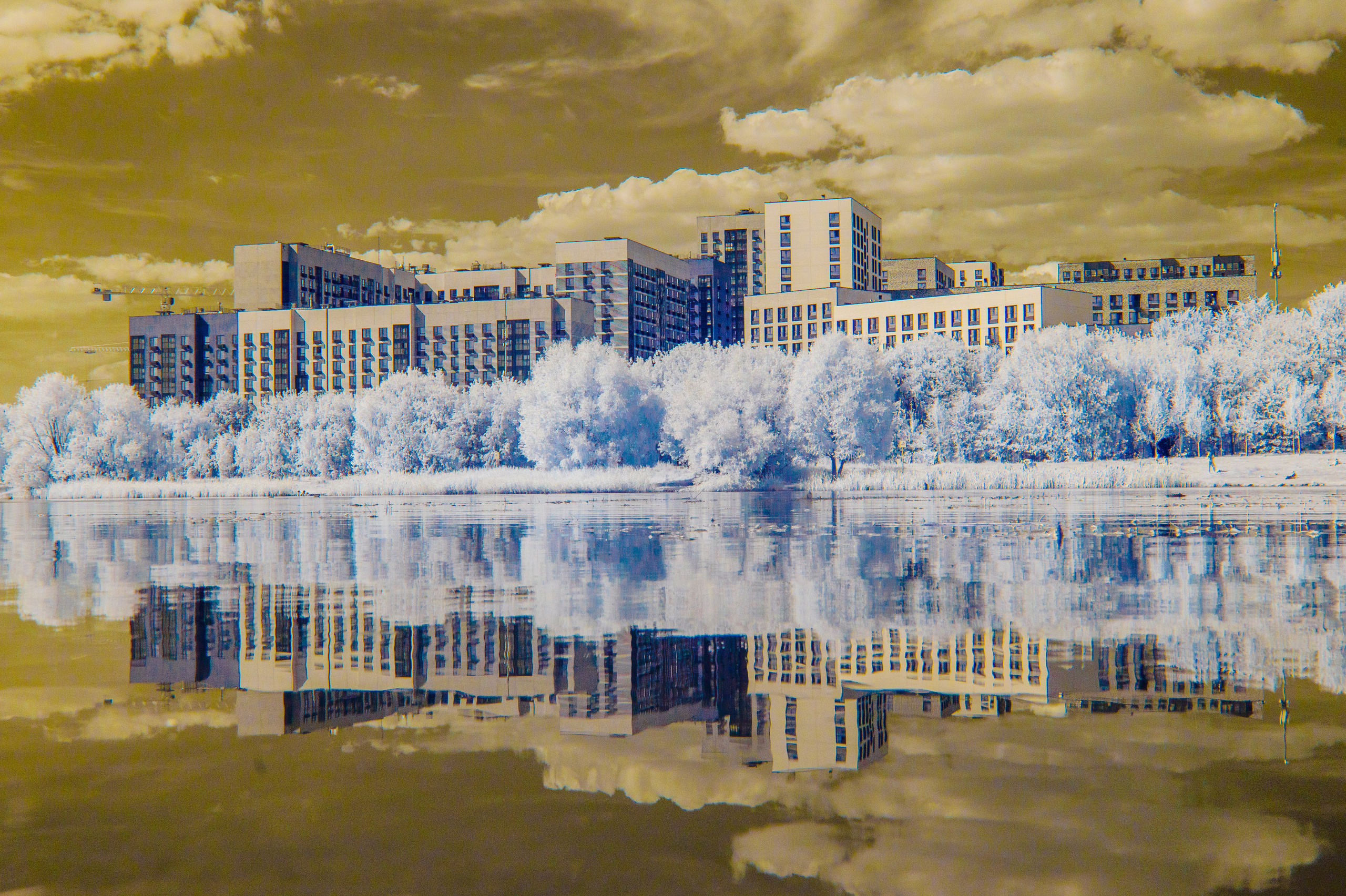 Color — Цветная