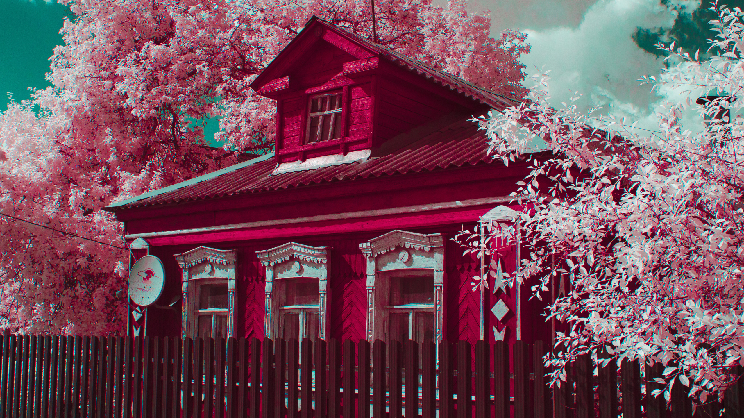 Color — Цветная