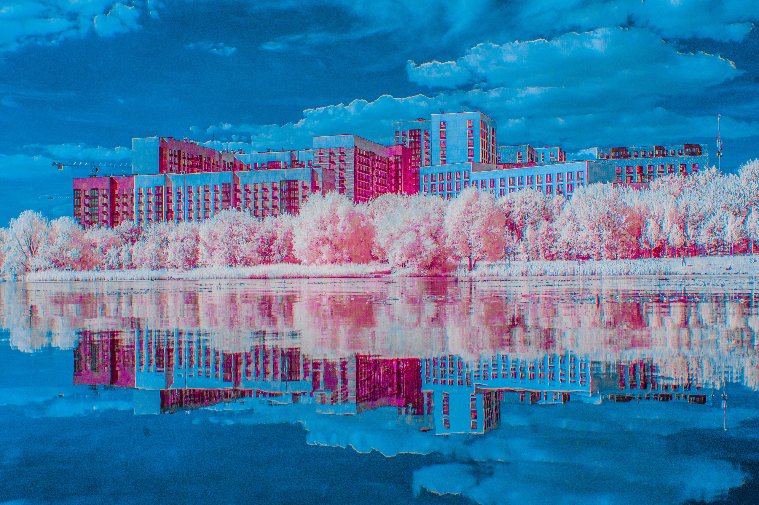 Color — Цветная