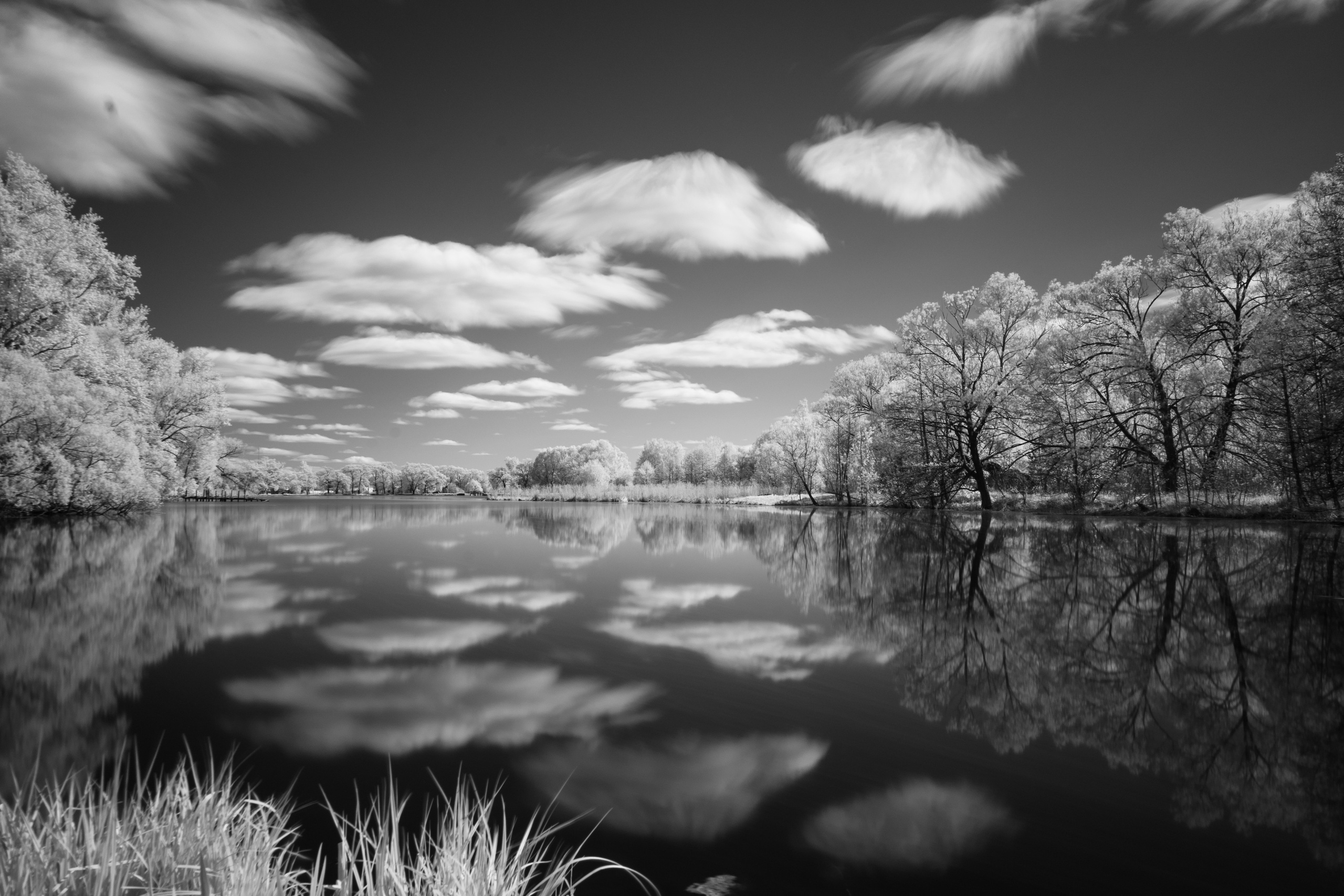 Video — Видео