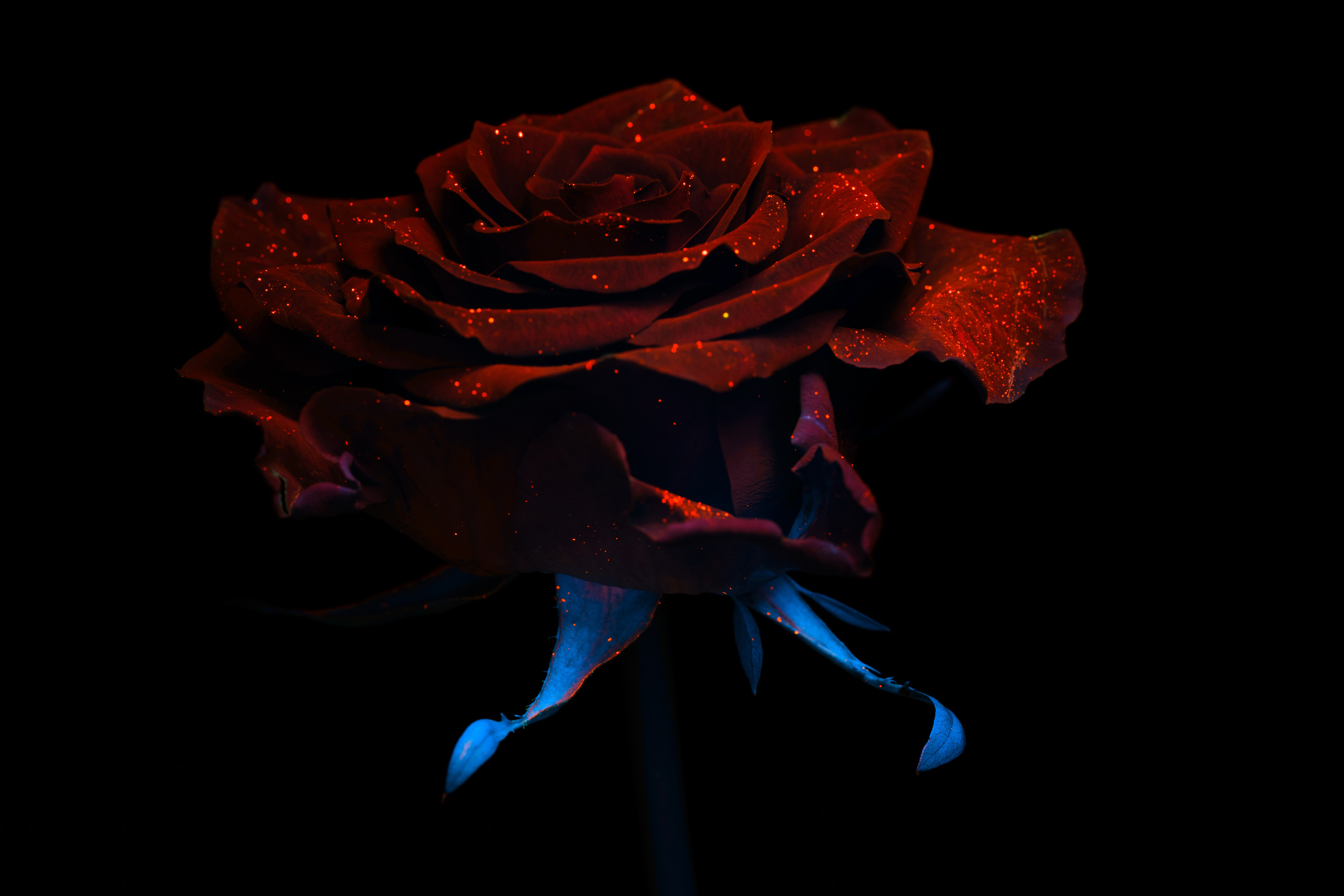 Macro — Макро