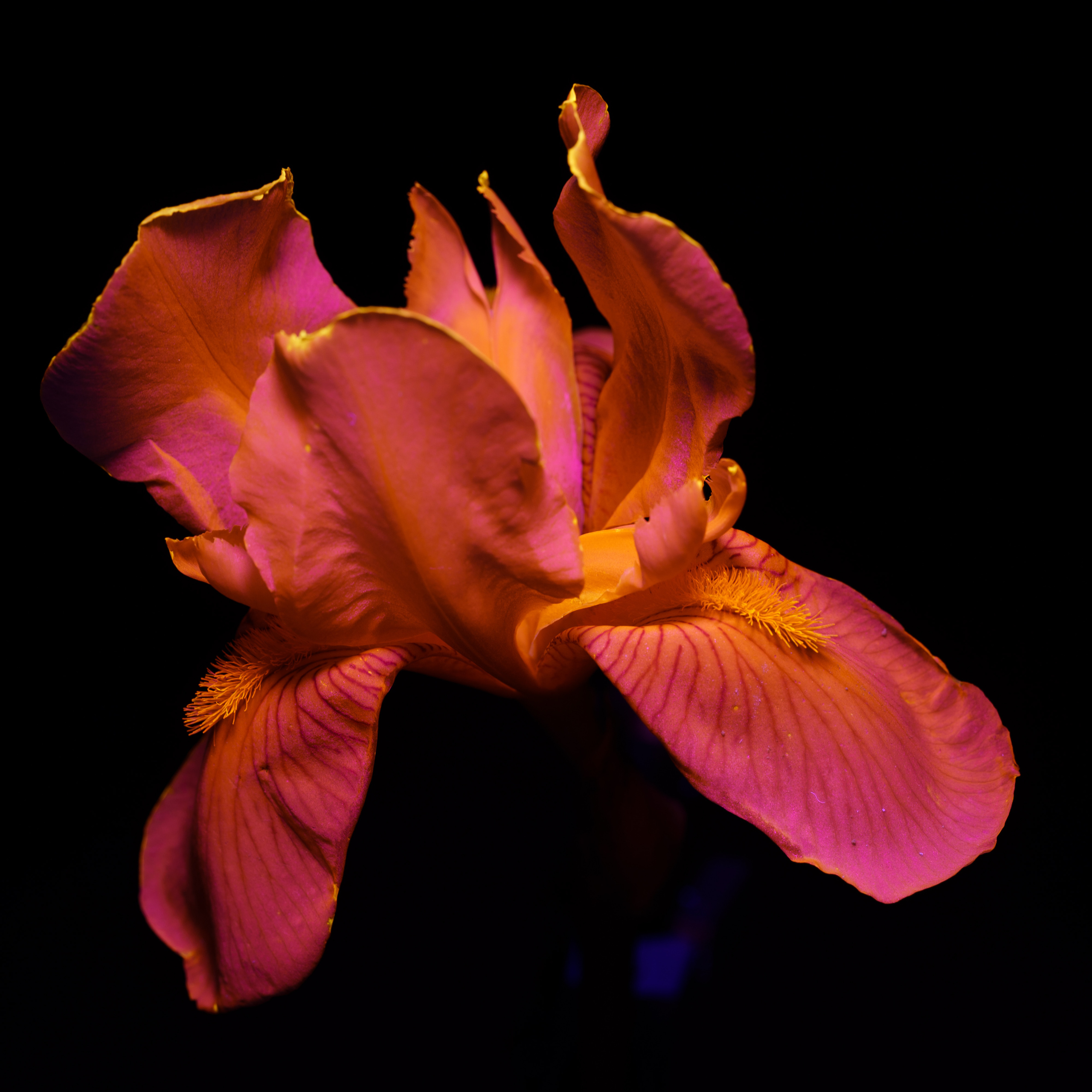 Macro — Макро