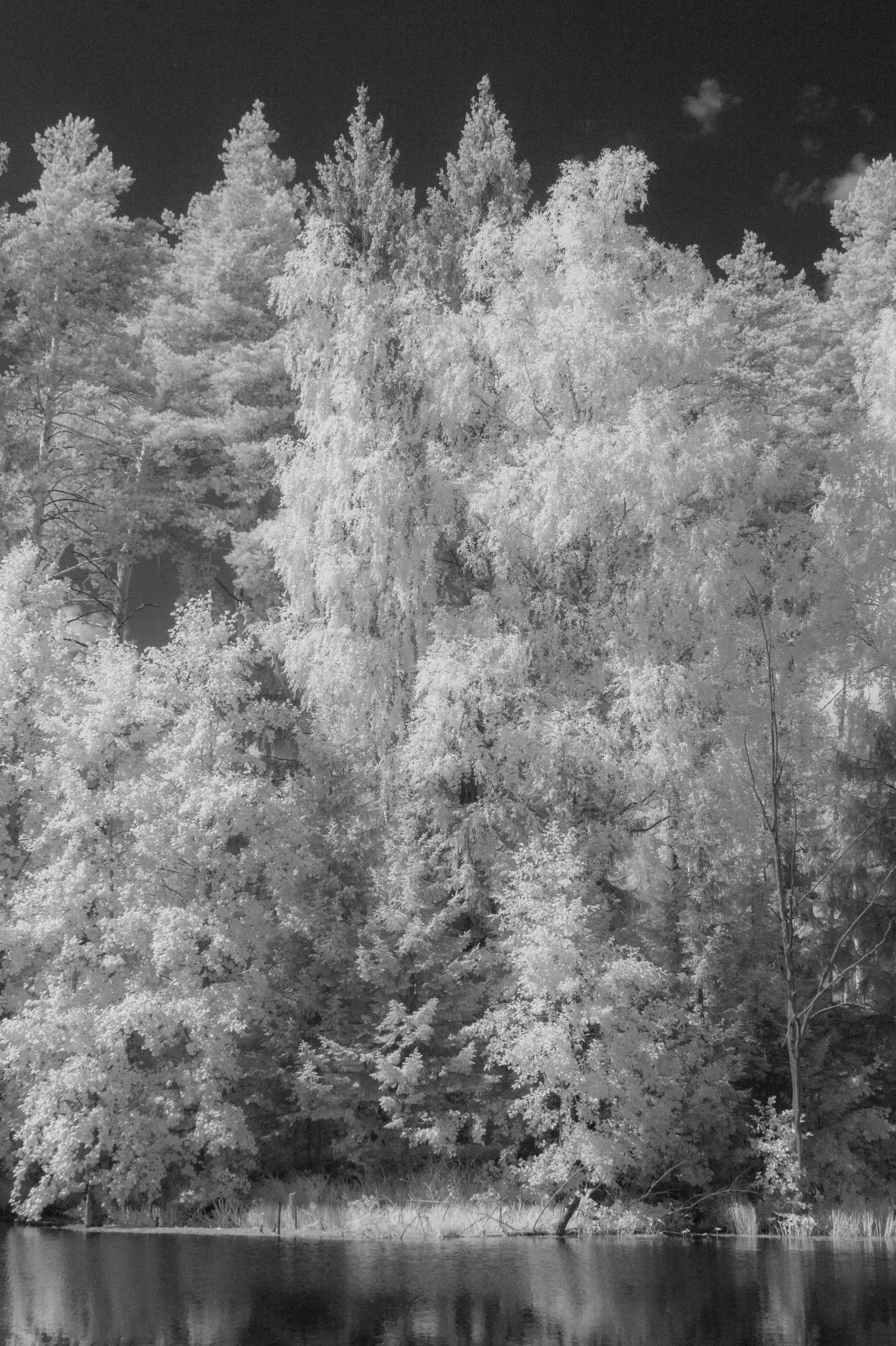 Black and White — Черно белый