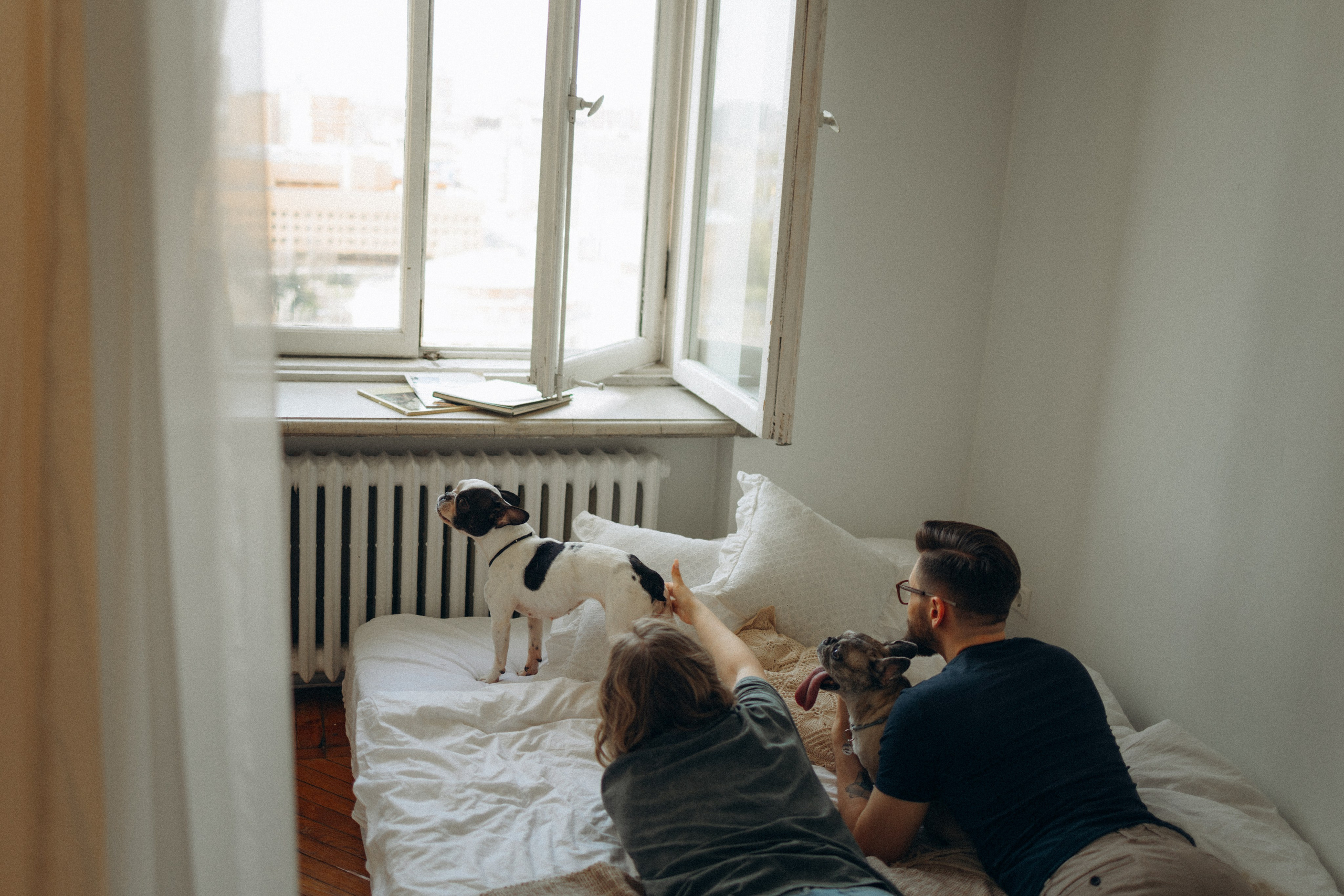 Зефирка, Булка и их Ро. Фотораф — анималист Мария Шистка