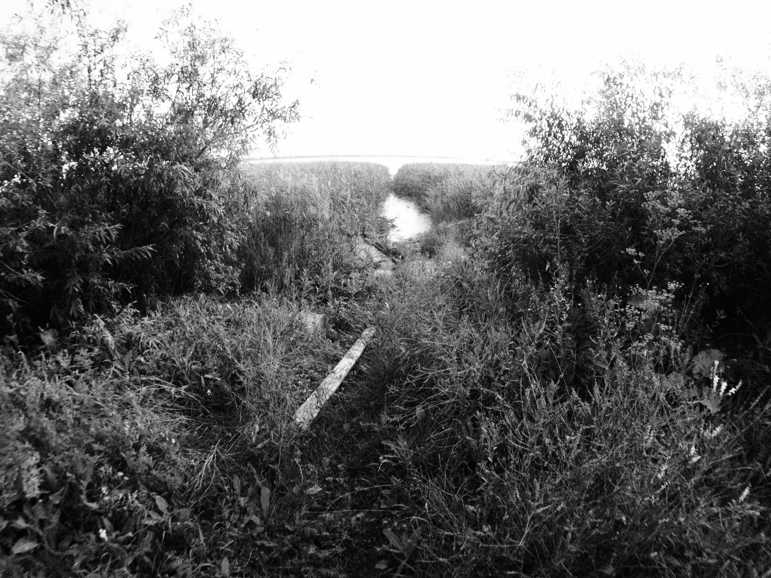 Промежуточные моменты (2023)