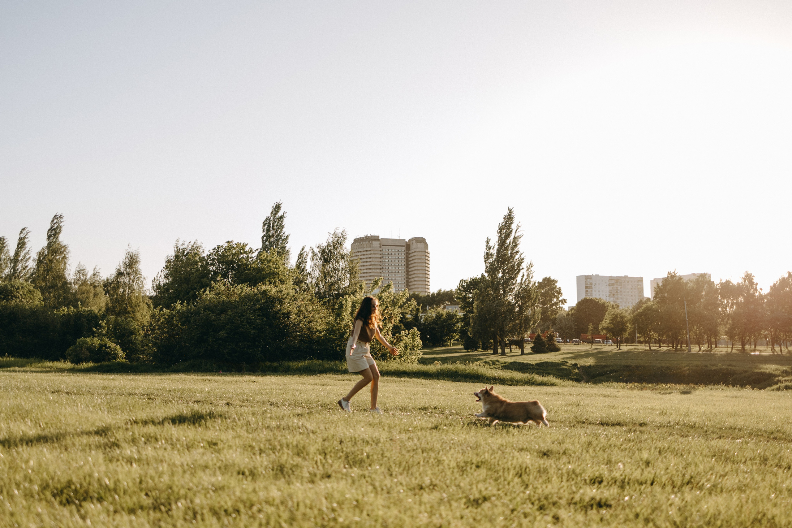 Кристина и Шелби. Фотограф — Анималист | Санкт-Петербург