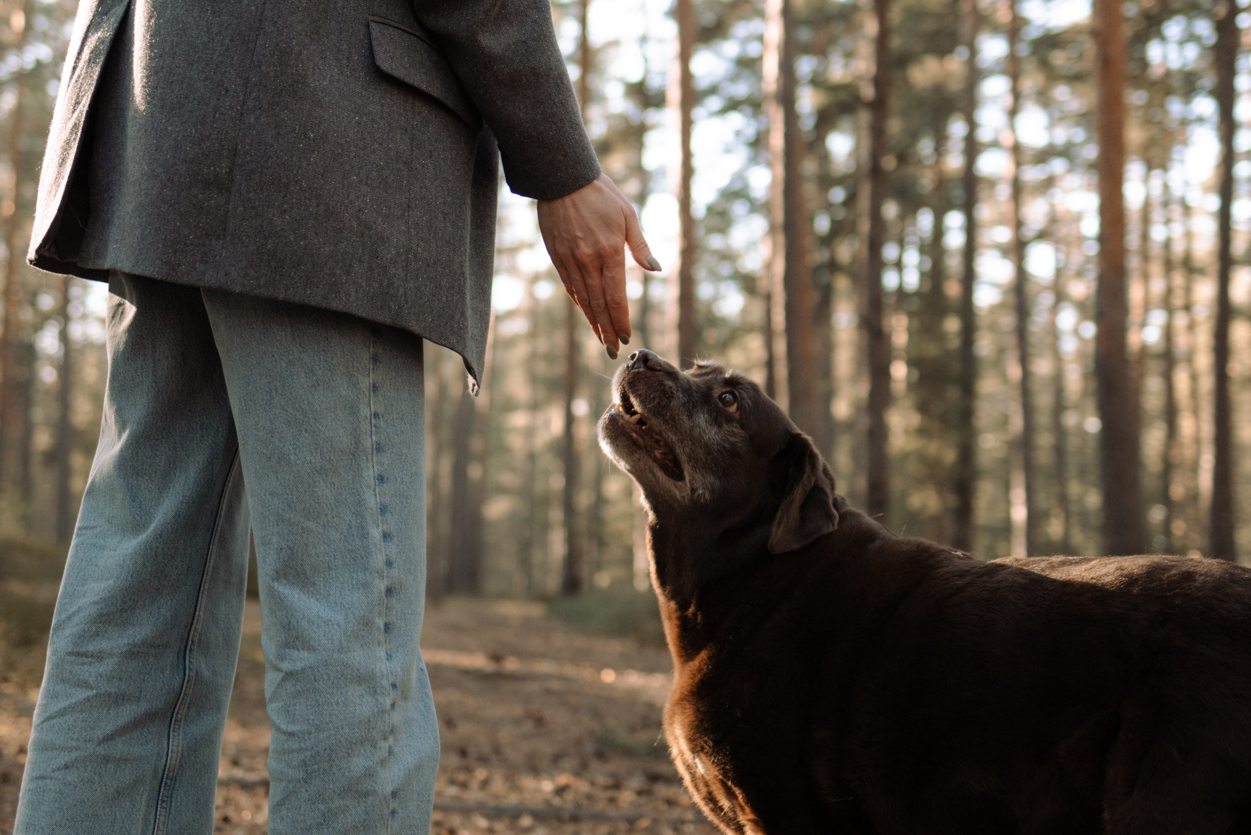 Оля и Питоня. Фотограф — Анималист | Санкт-Петербург