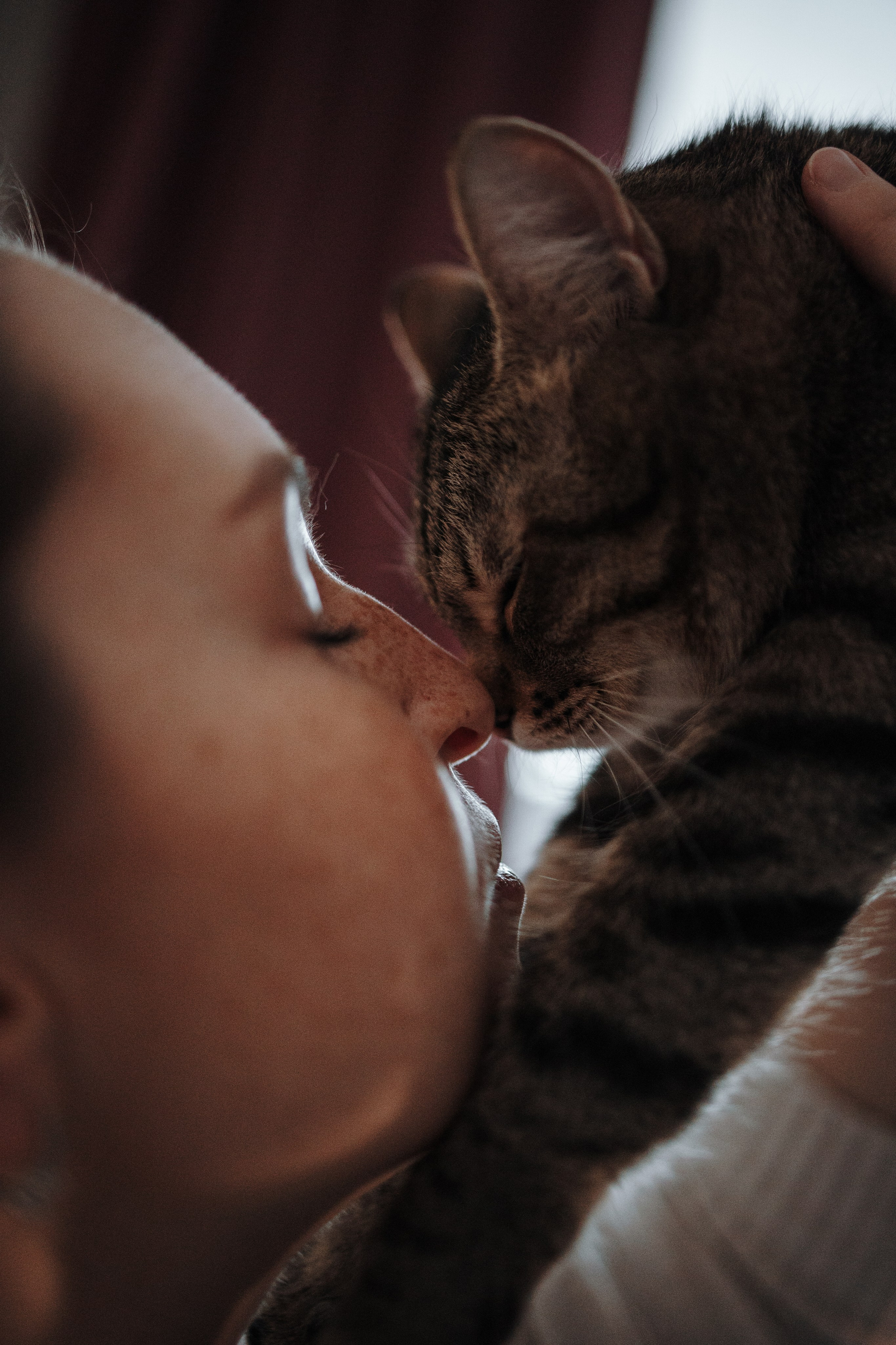 Мася и ее семья. Фотограф — Анималист | Санкт-Петербург