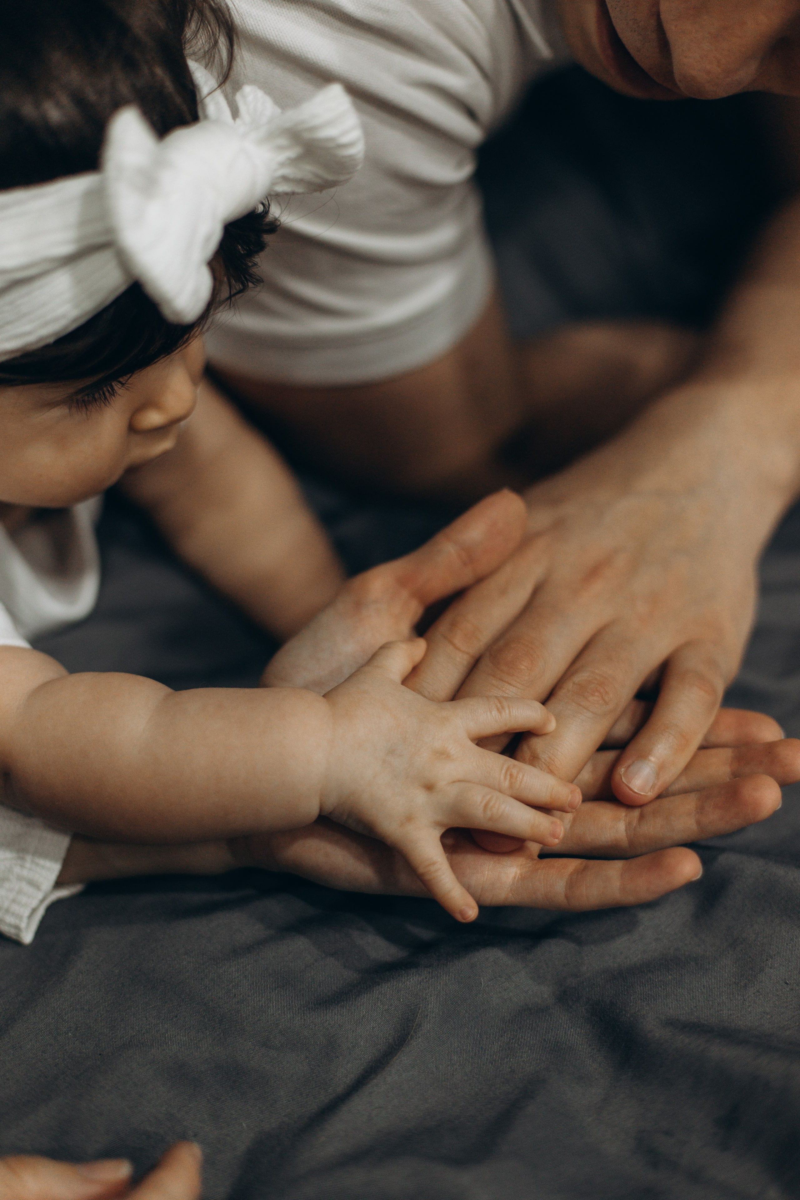 Джой и его семья. Фотограф — Анималист | Санкт-Петербург