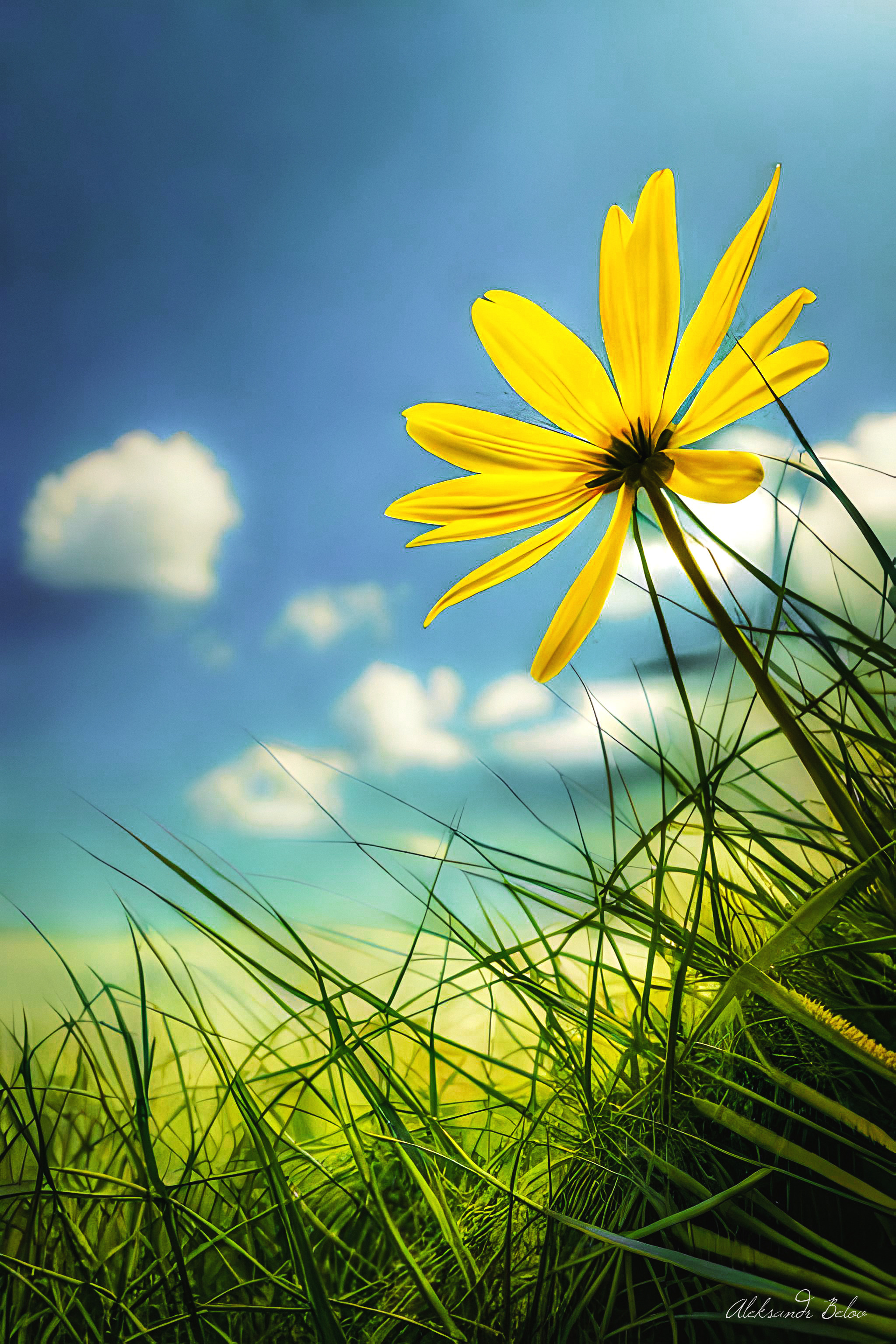 Минимализм. Пейзажный и семейный фотограф в Санкт-Петербурге Александр Белов